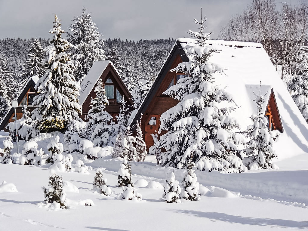 Ferienhaus Tennenbronn Ferienhaus  Schwarzwald