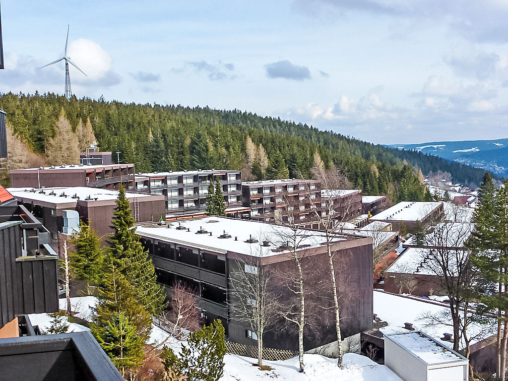 Ferienwohnung Terrassenpark Ferienwohnung  Schonach