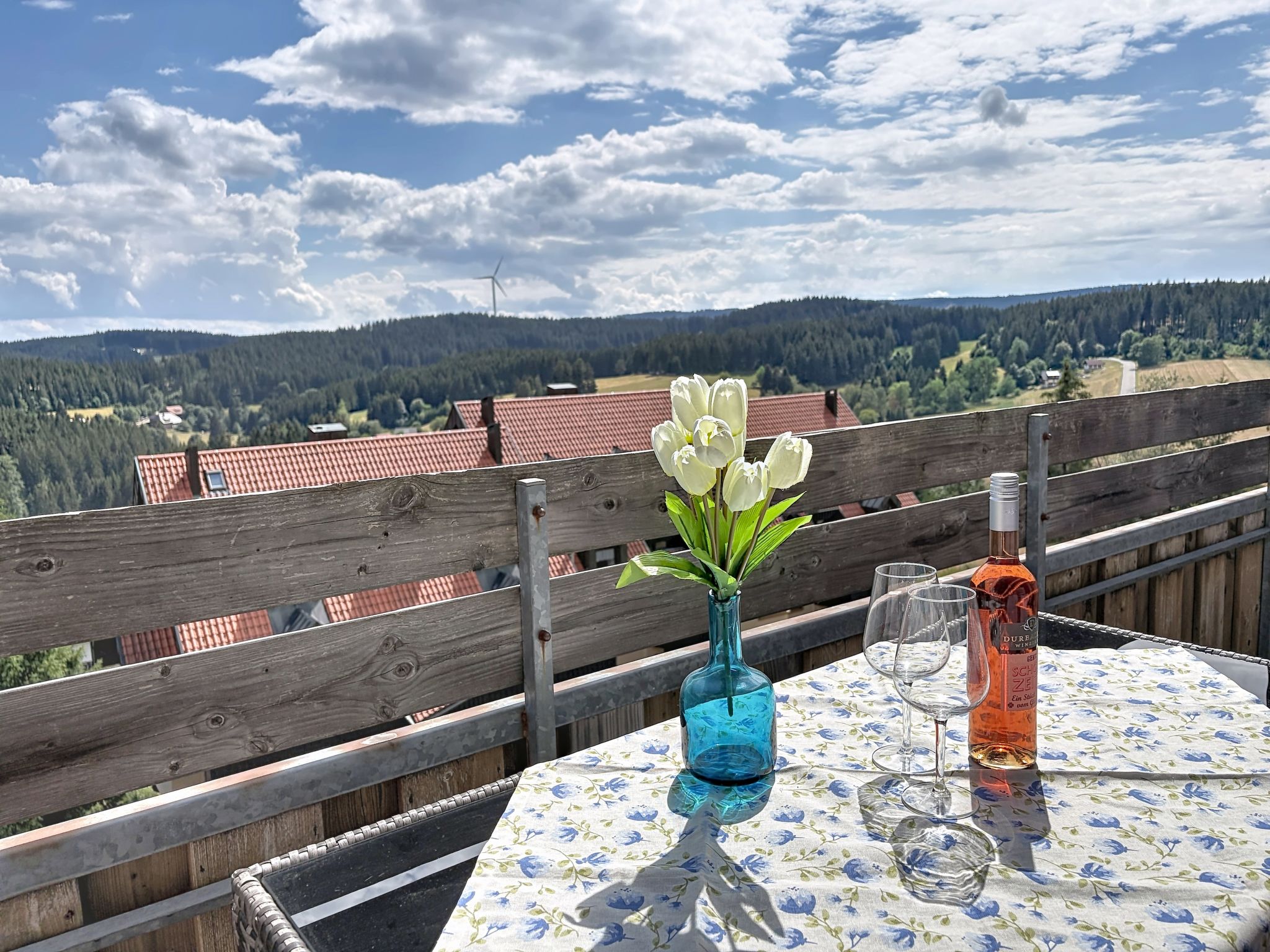 Schwarzwaldblick - Draußen