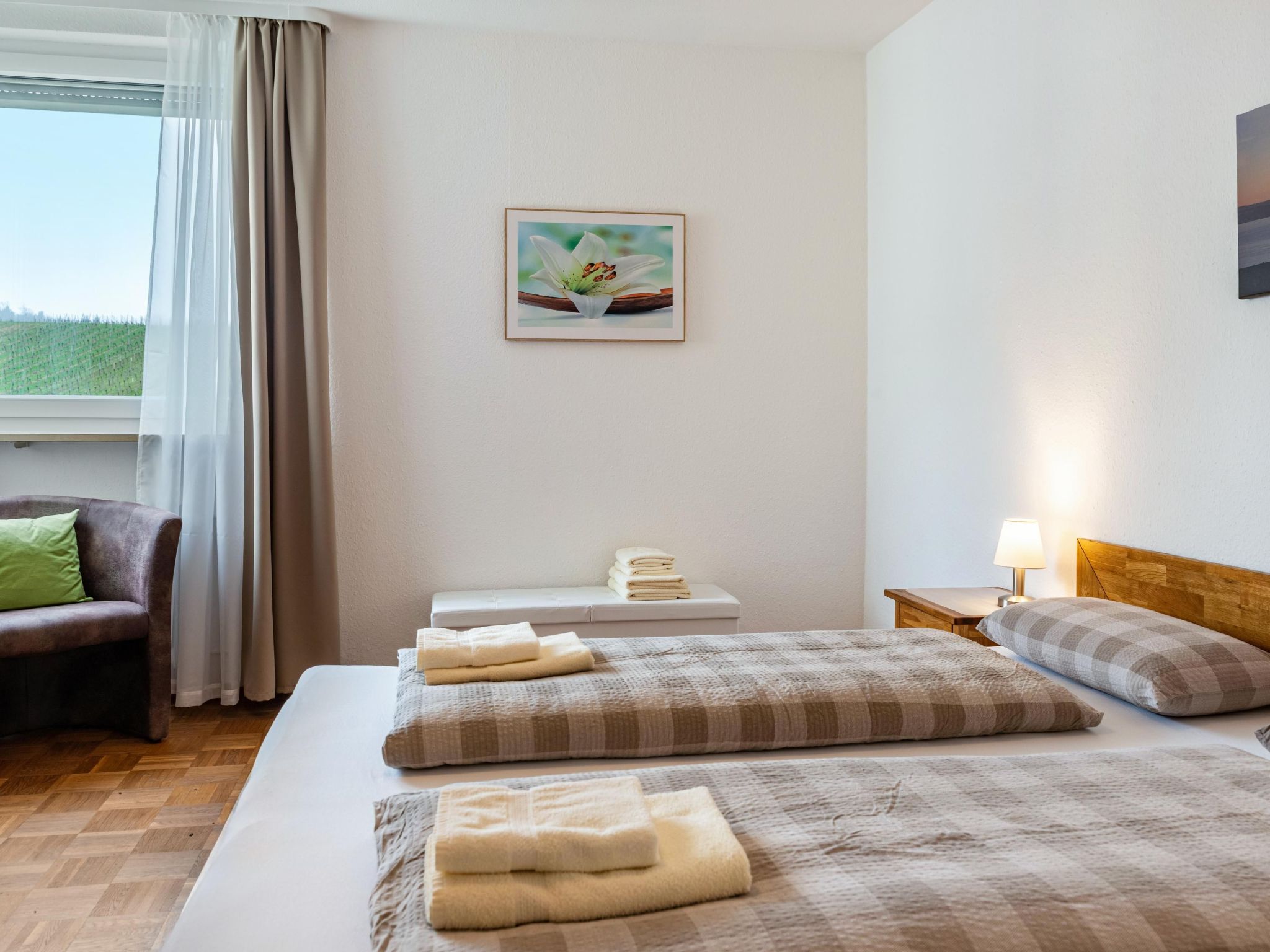 Alex-Image-tags.info