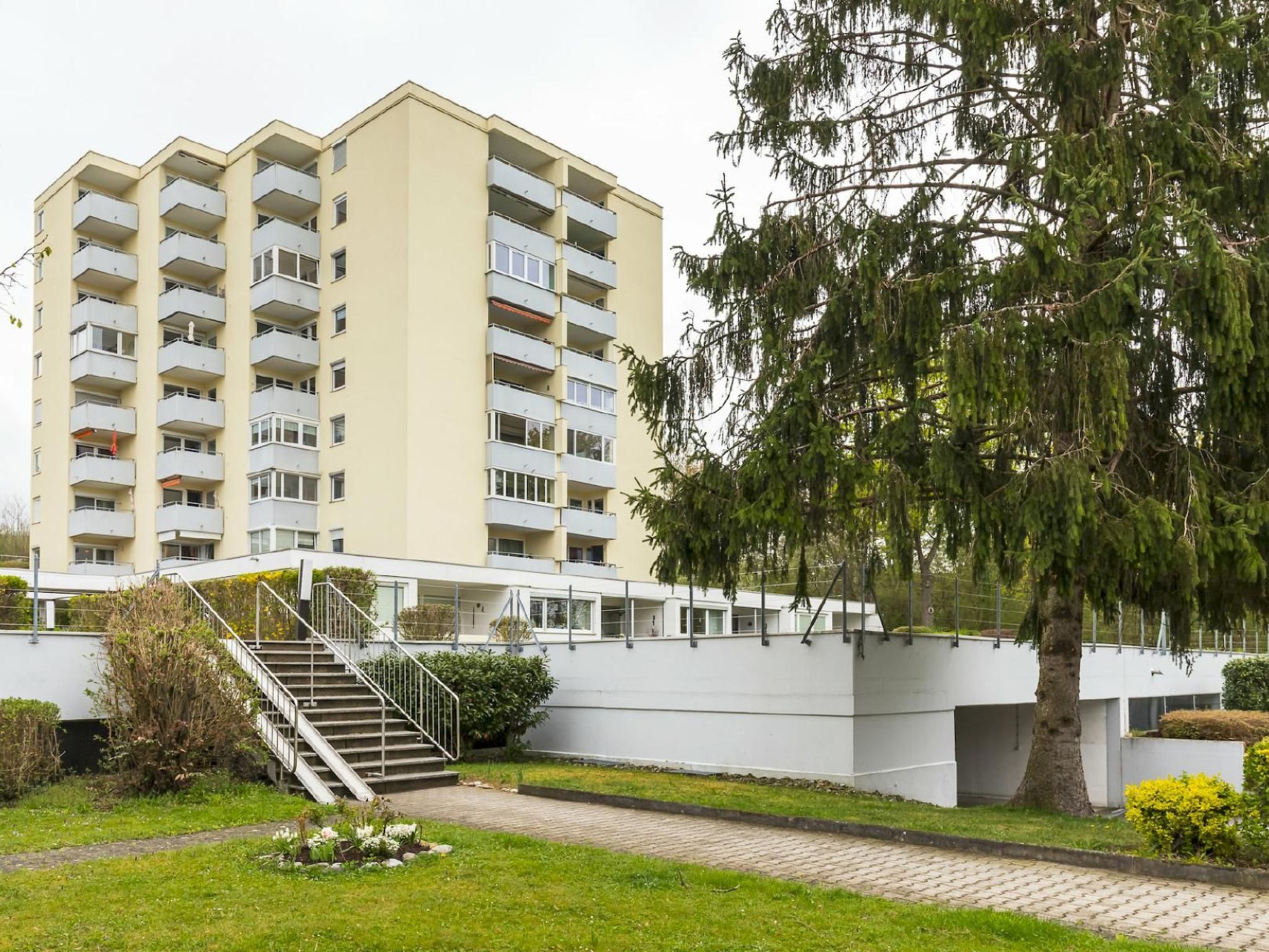 Alex-Image-tags.info