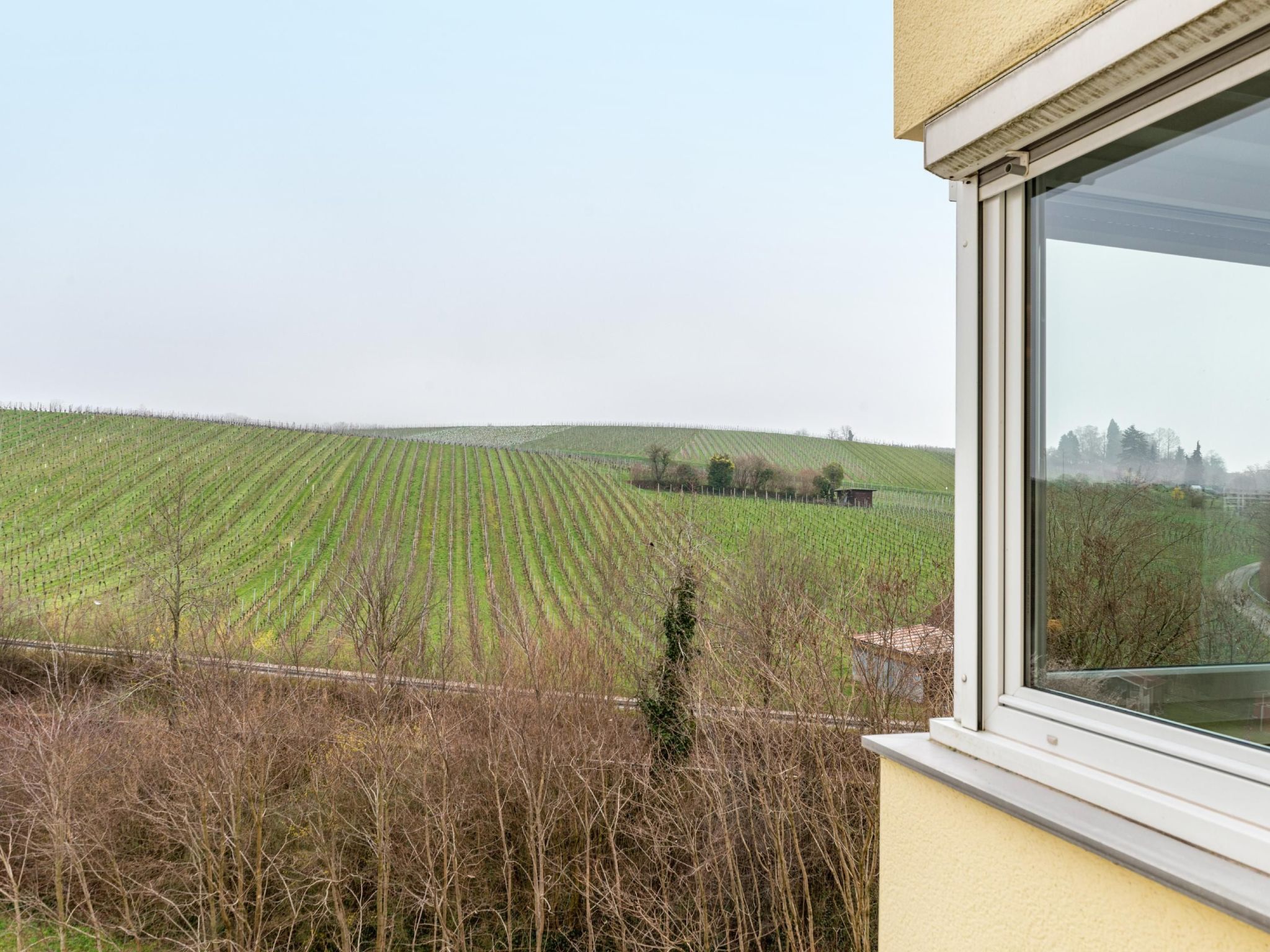 Alex-Image-tags.info