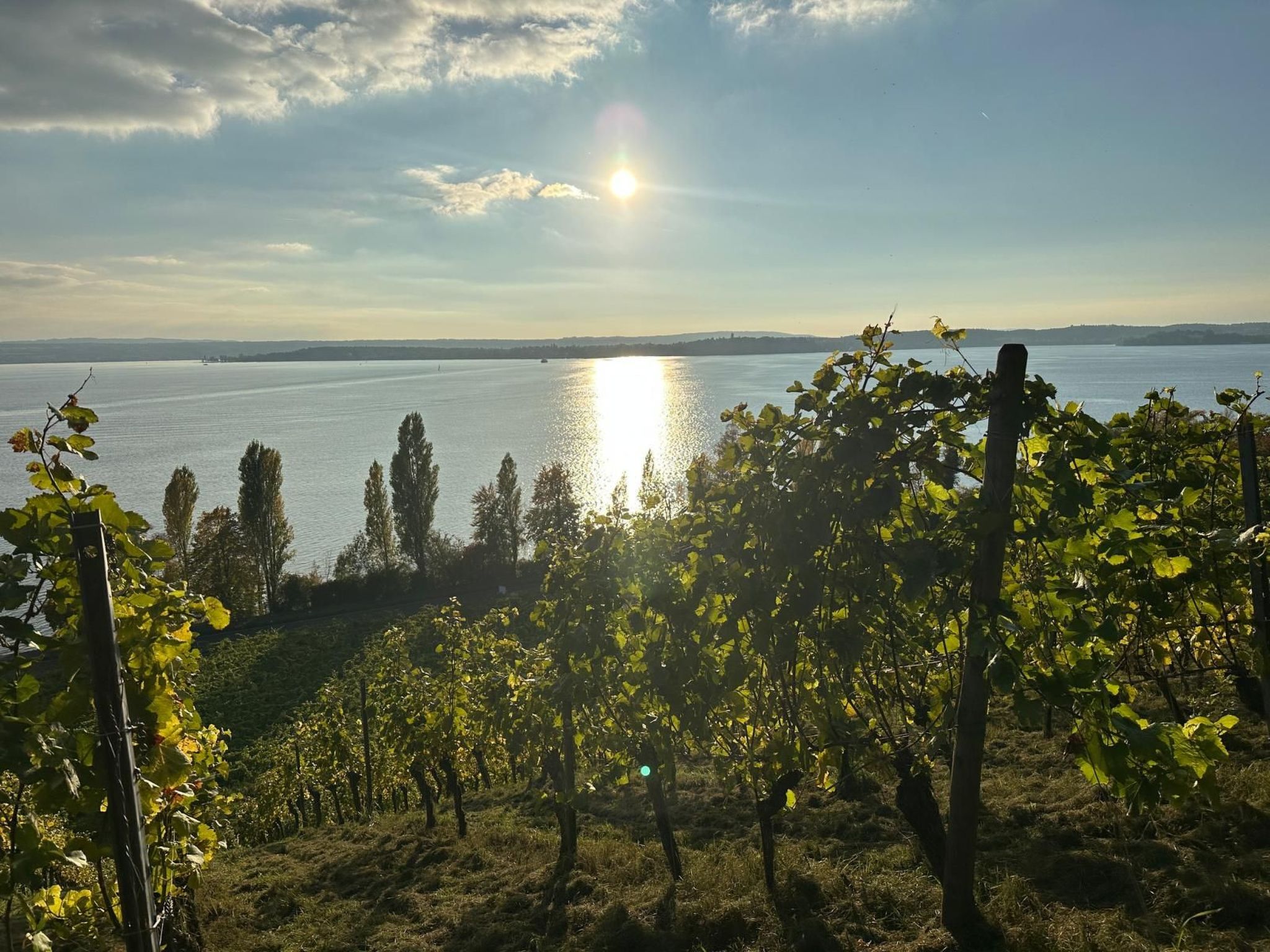 Wohnung B mit Balkon-Image-tags.info