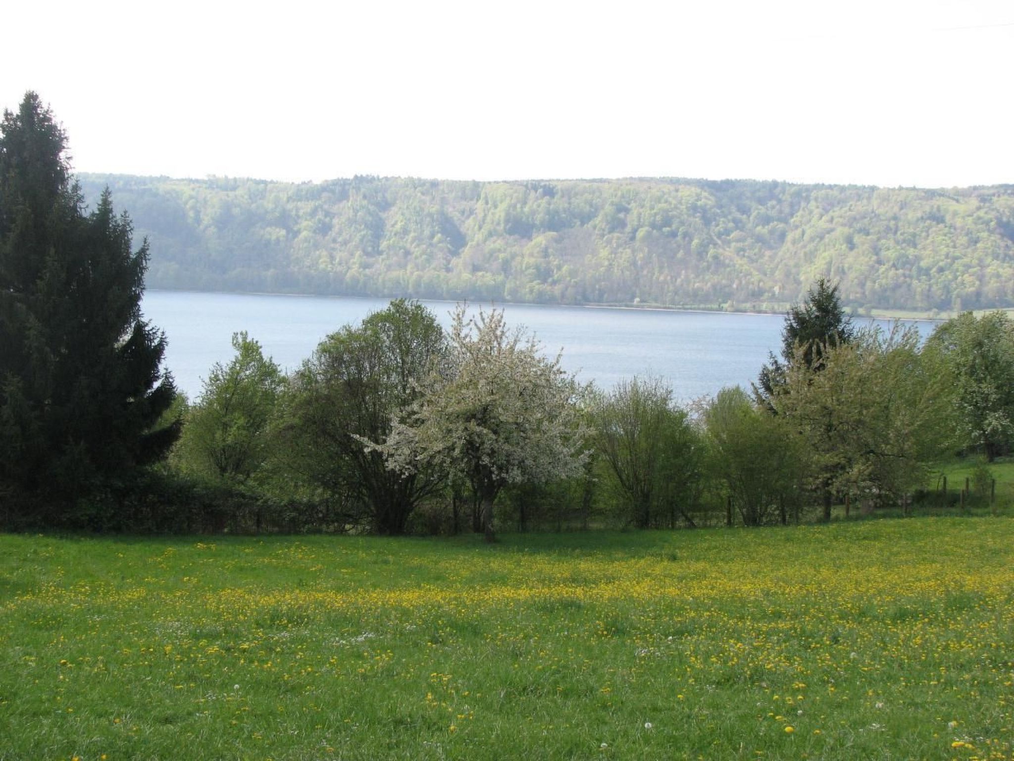 Idyllische Ferienwohnung in Sipplingen am Bodensee-Binnen