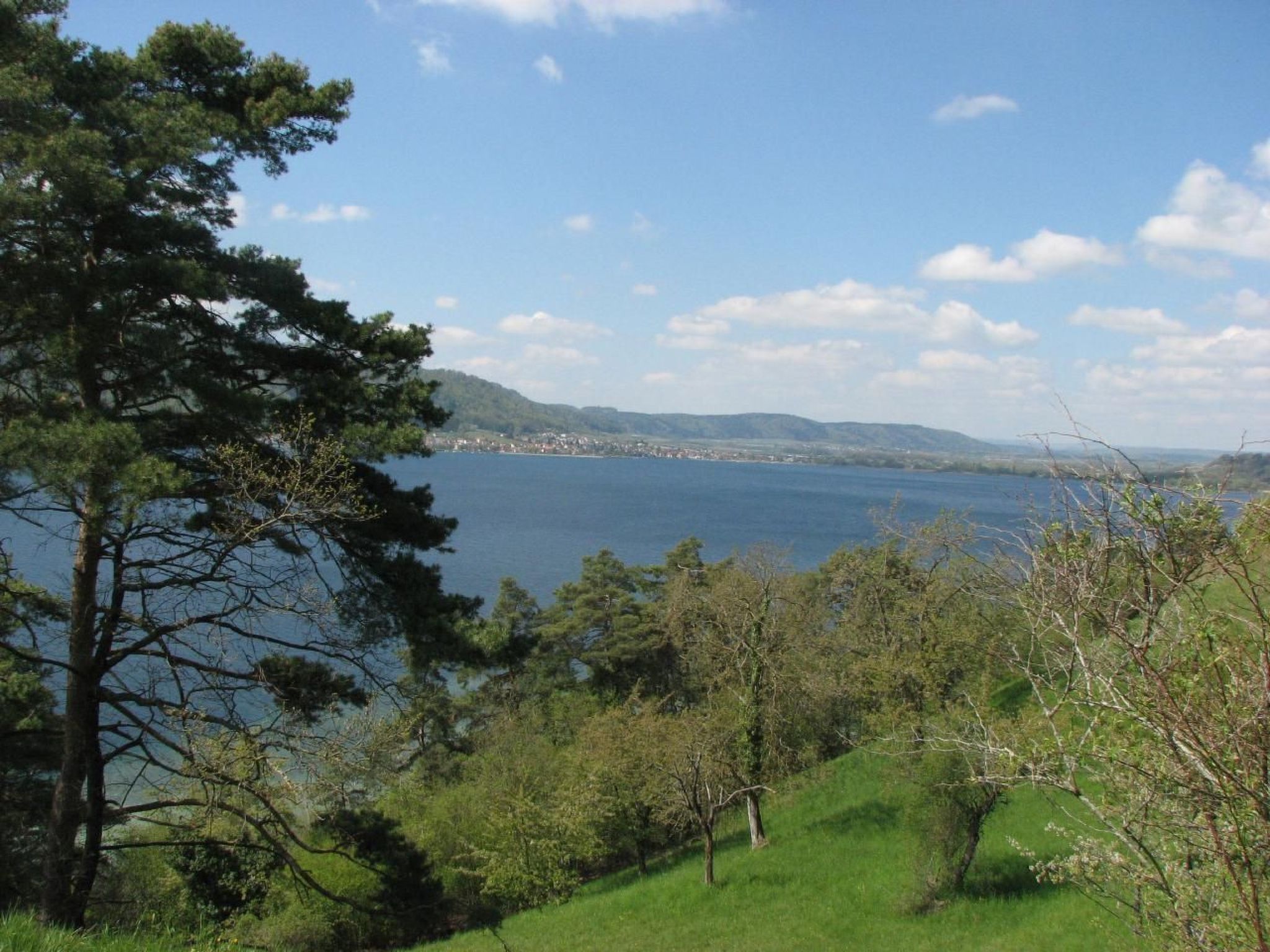 Idyllische Ferienwohnung in Sipplingen am Bodensee-Binnen