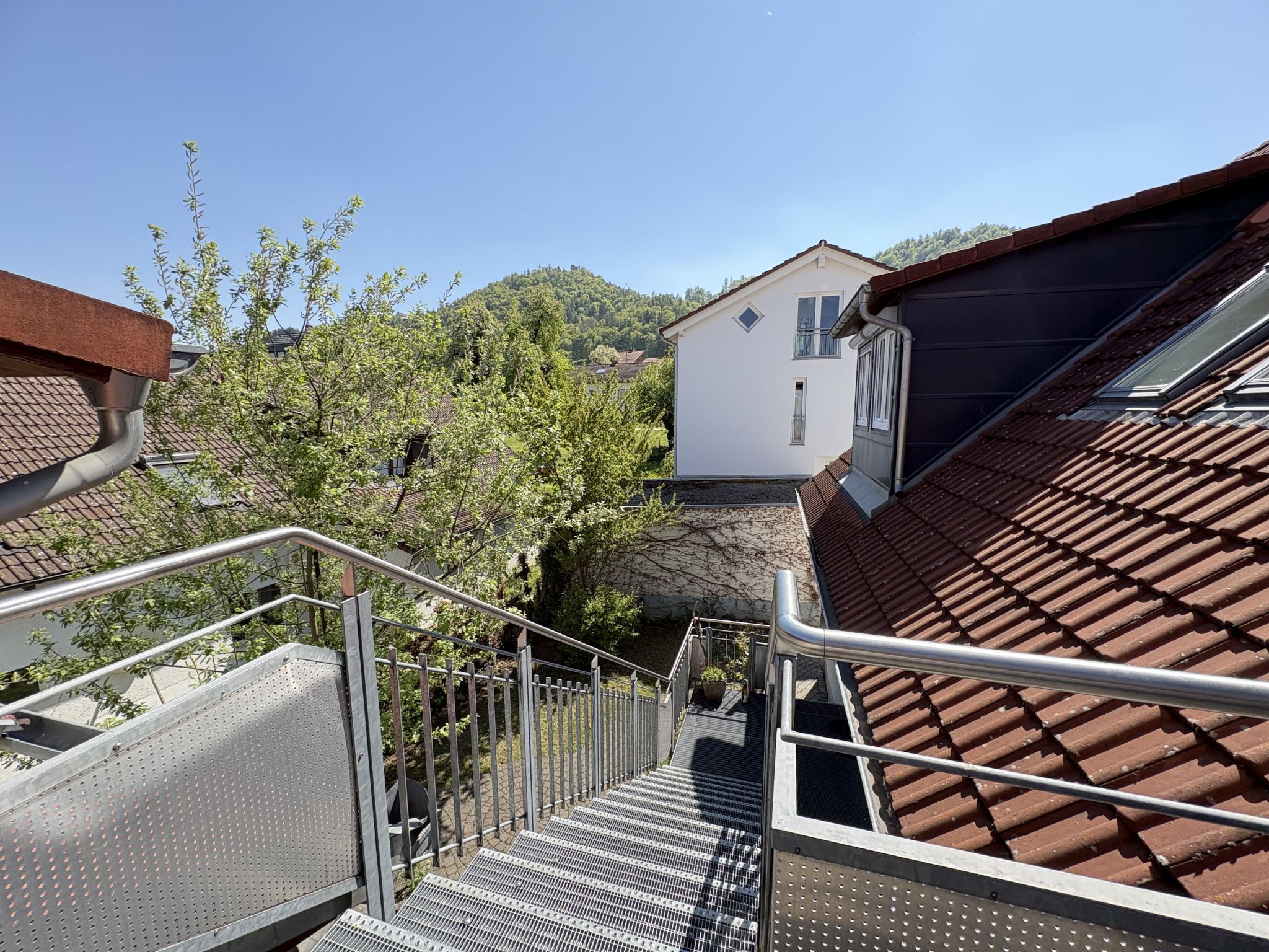 Sonnige Aussichten - Obstbau Koch - Buiten