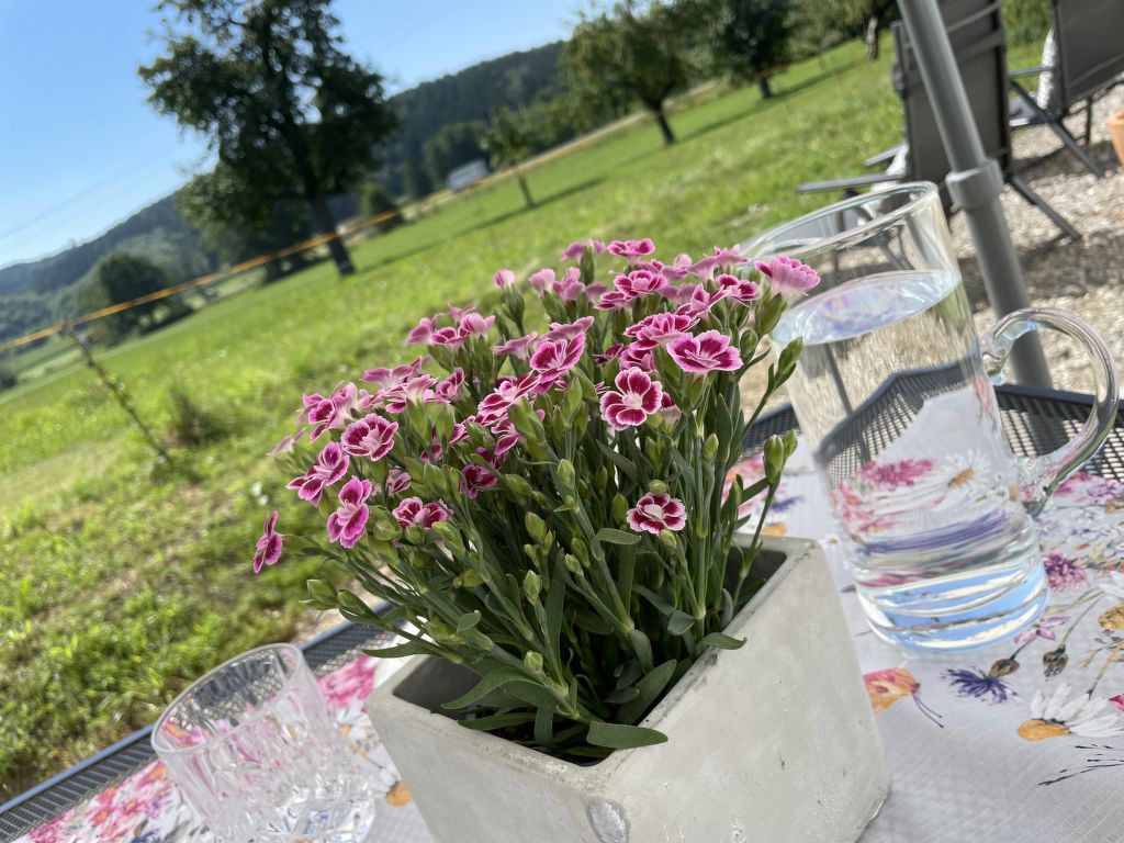Bild 18