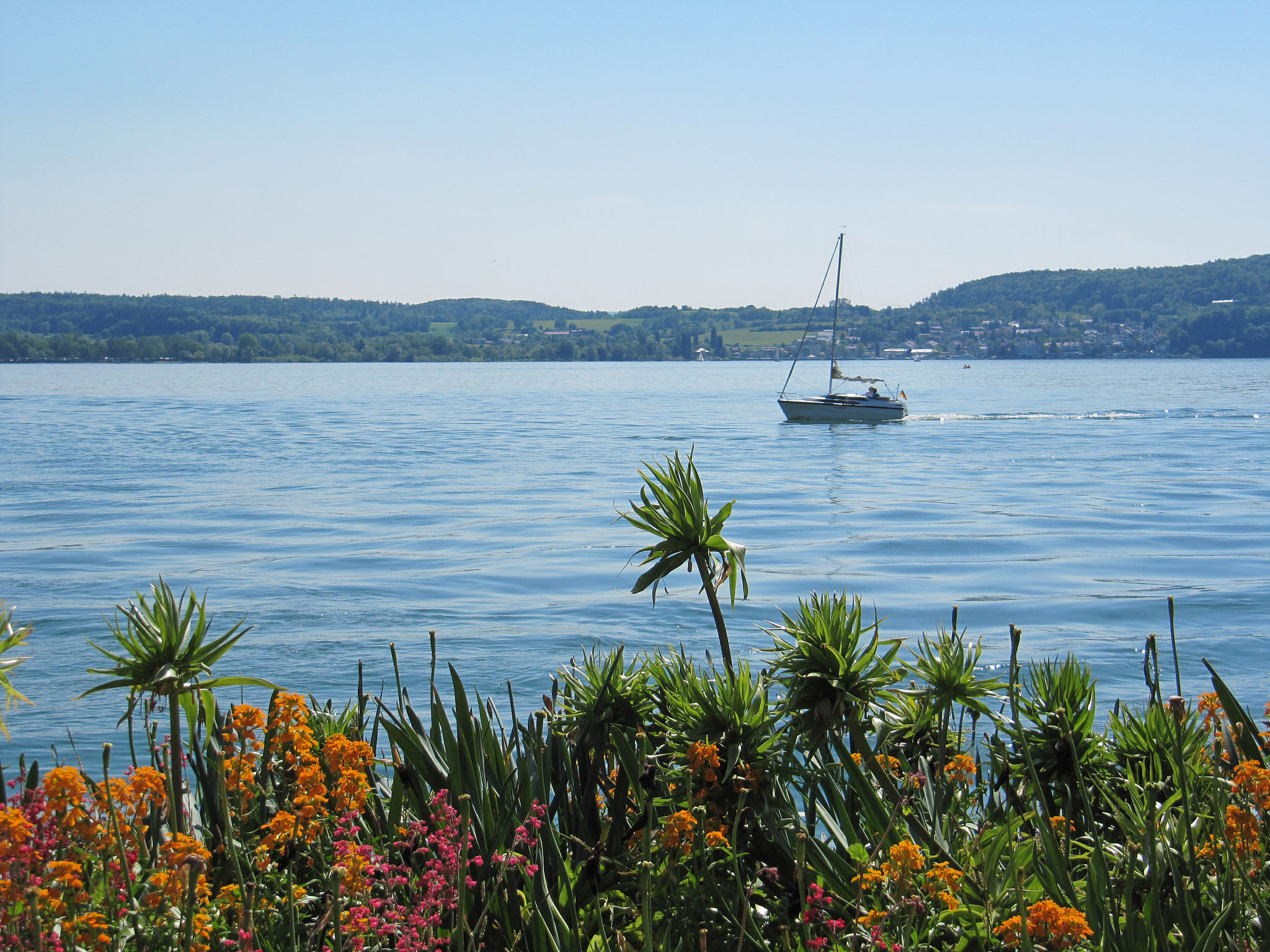 Apartment Alex-Omgeving