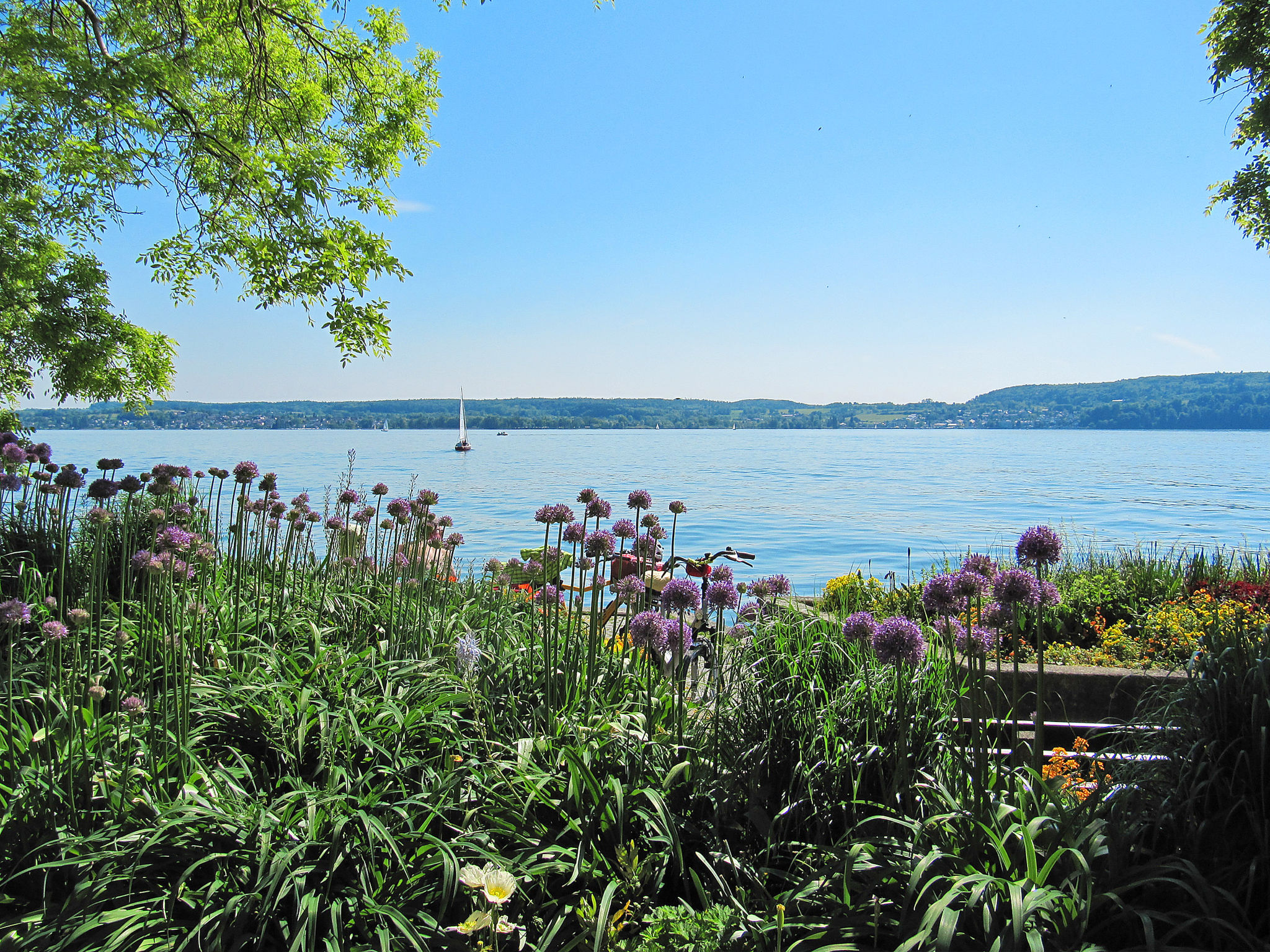 Apartment Alex-Omgeving