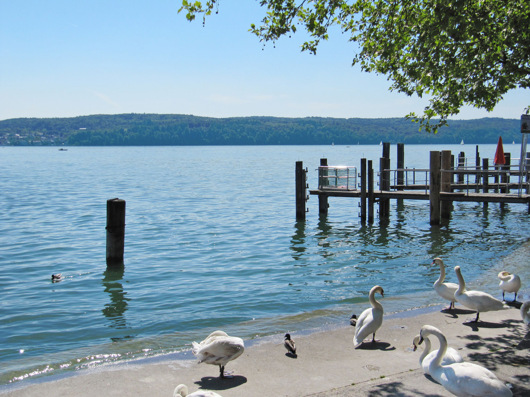 Apartment Alex-Omgeving