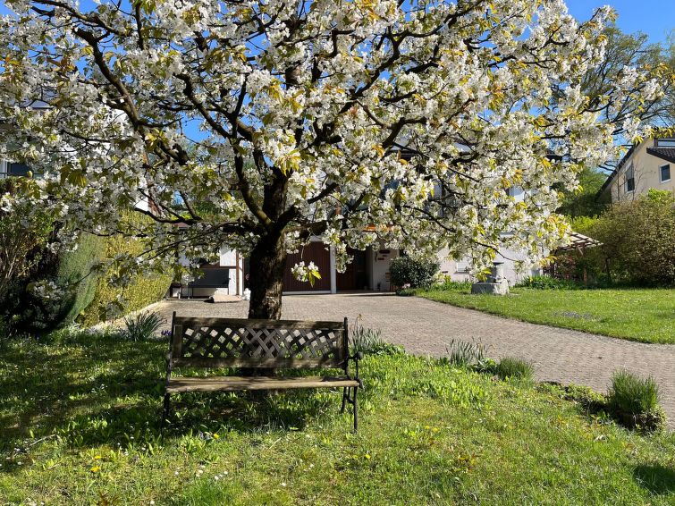 Am Kirschbaum - Meersburg
