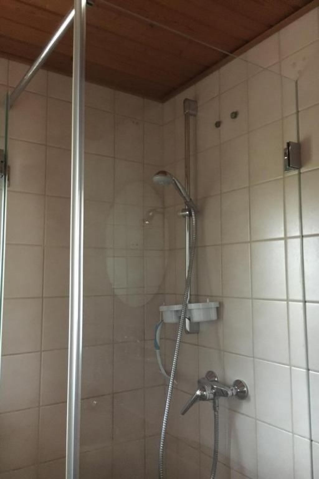 Am Kirschbaum-Image-tags.info