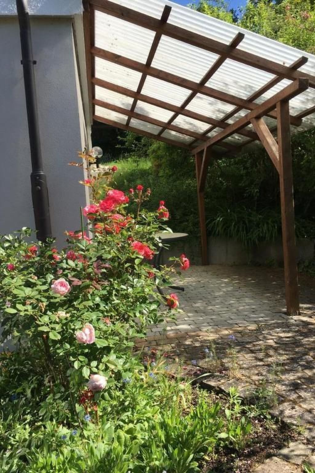 Am Kirschbaum-Image-tags.info