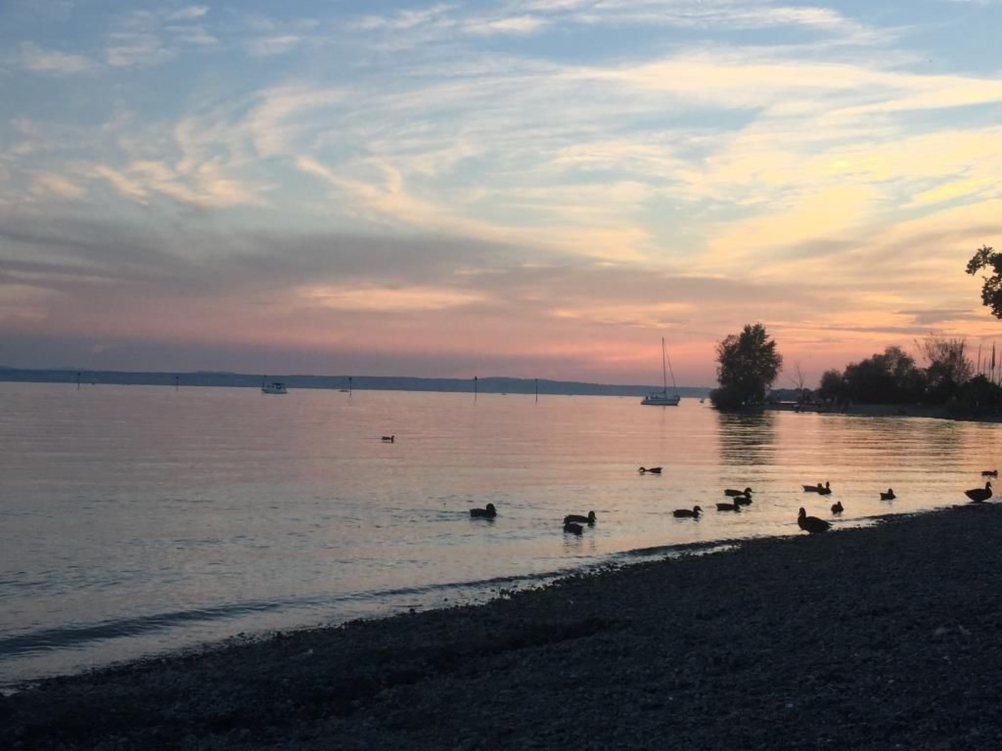 FeWo in ruhiger Südhanglage-Image-tags.info