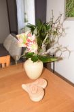 Vrijstaand appartement in Salem met terras, bergzicht en gedeelde tuin van 10.000 m² - thumbnail 6