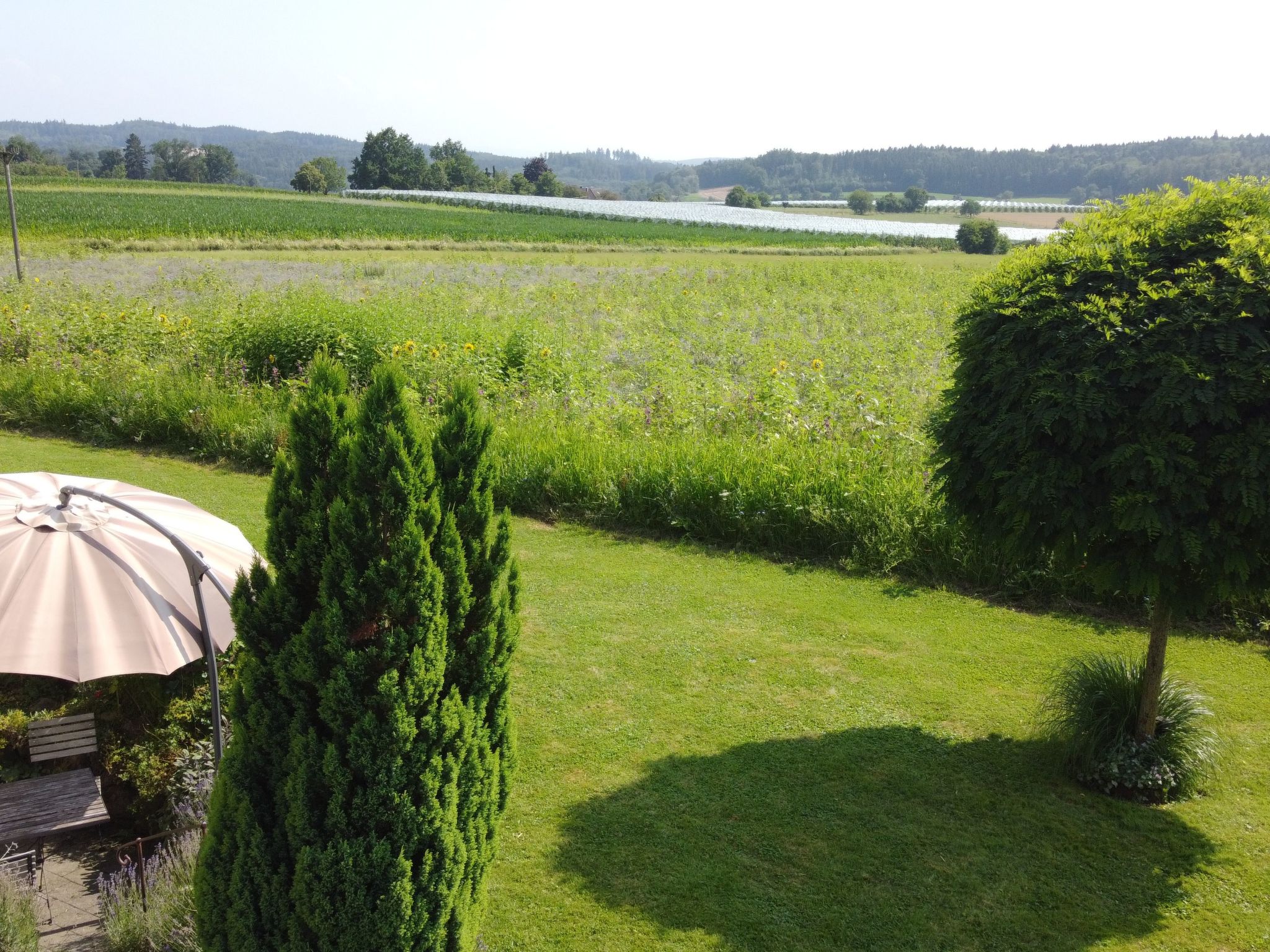 Appartement in Beuren mit Terrasse und Grill-Image-tags.info