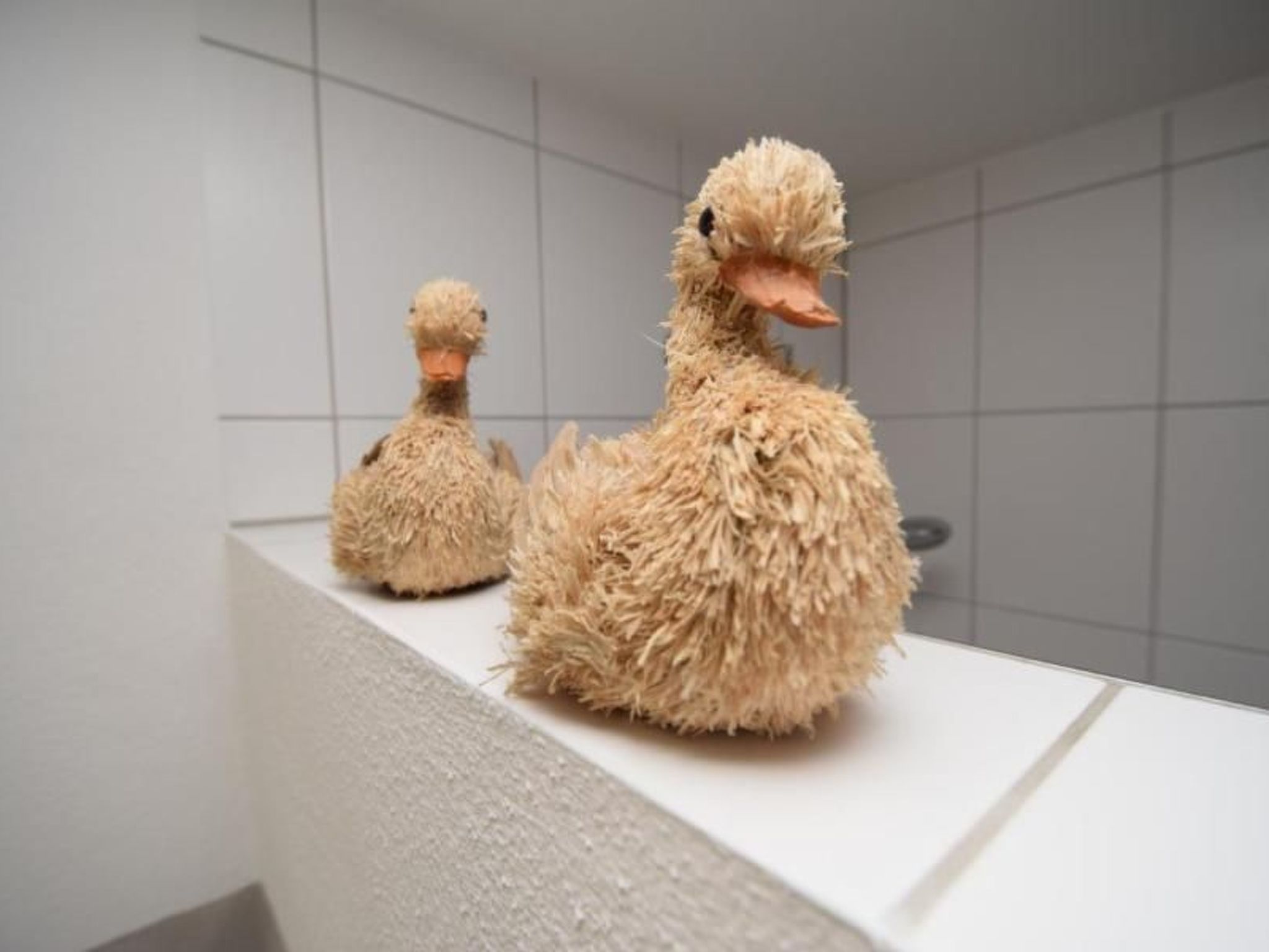 Appartement in Beuren mit Terrasse und Grill-Image-tags.info