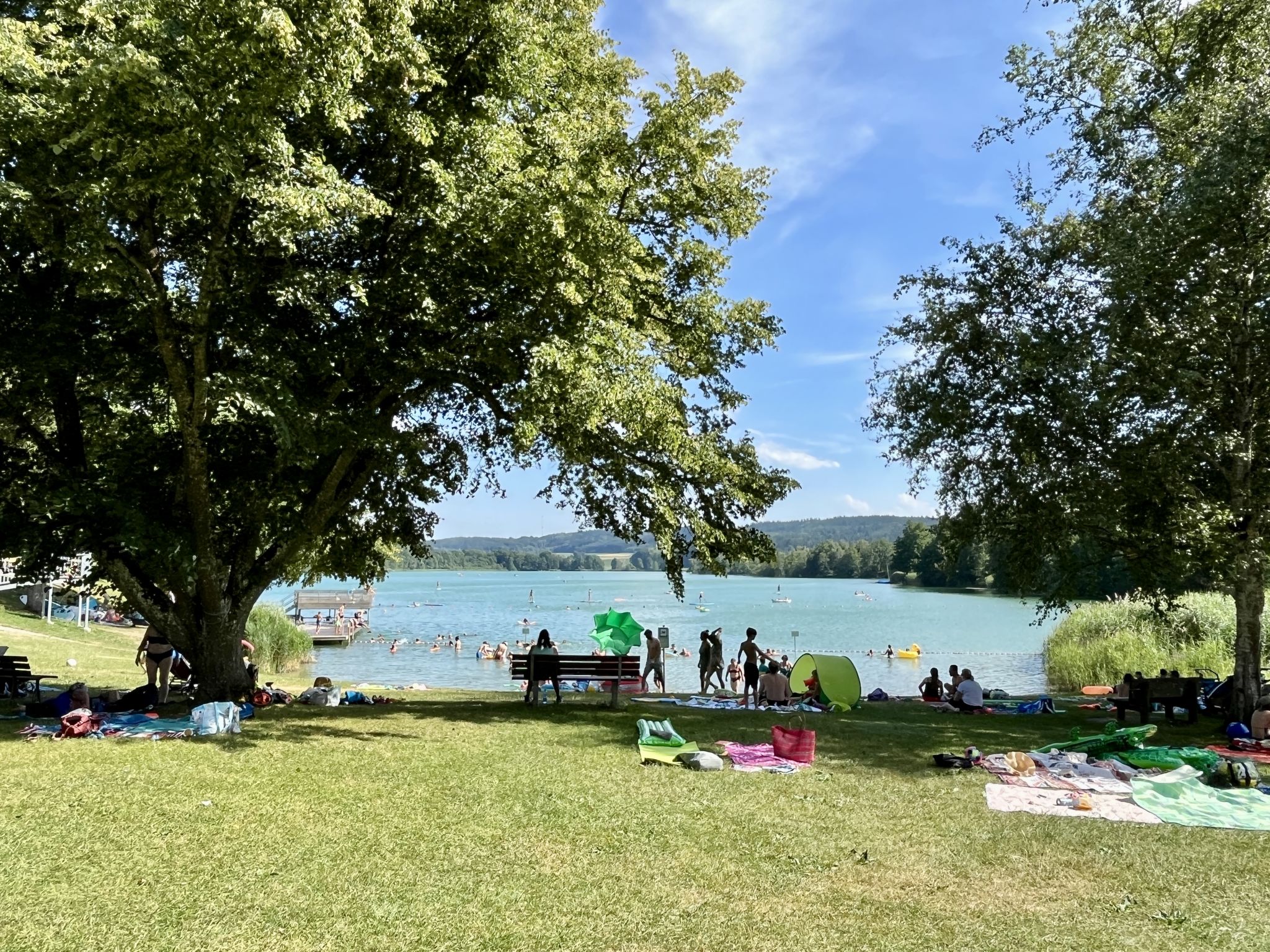 Alpenblick-Omgeving