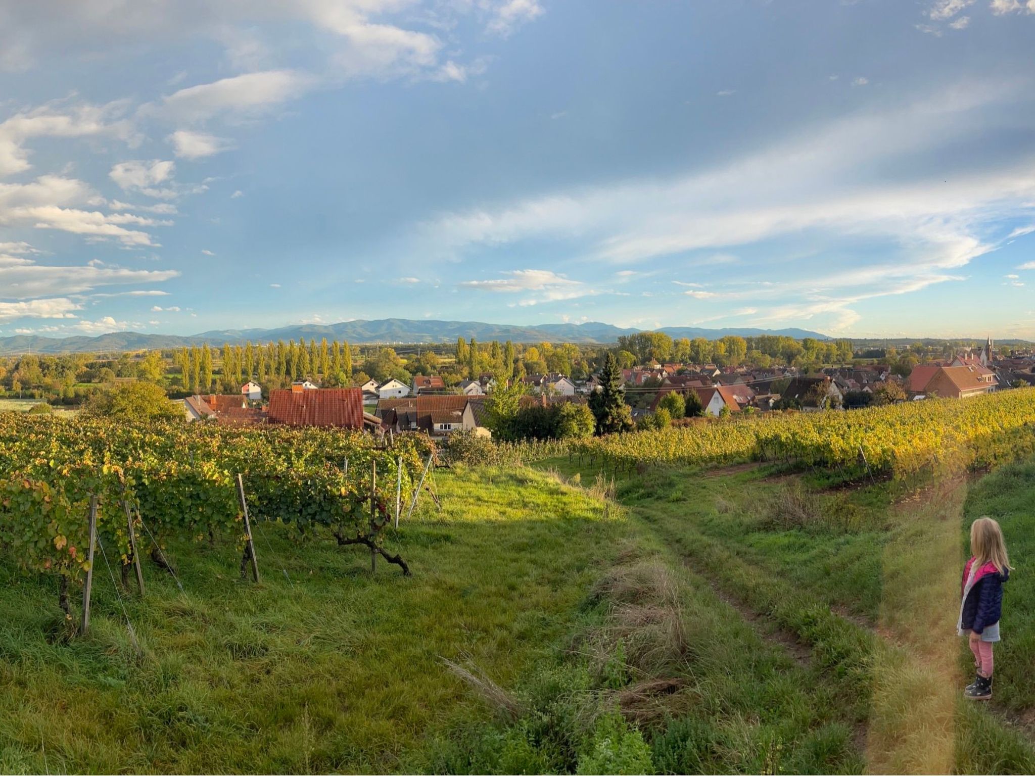 Am Weinberg-Image-tags.info