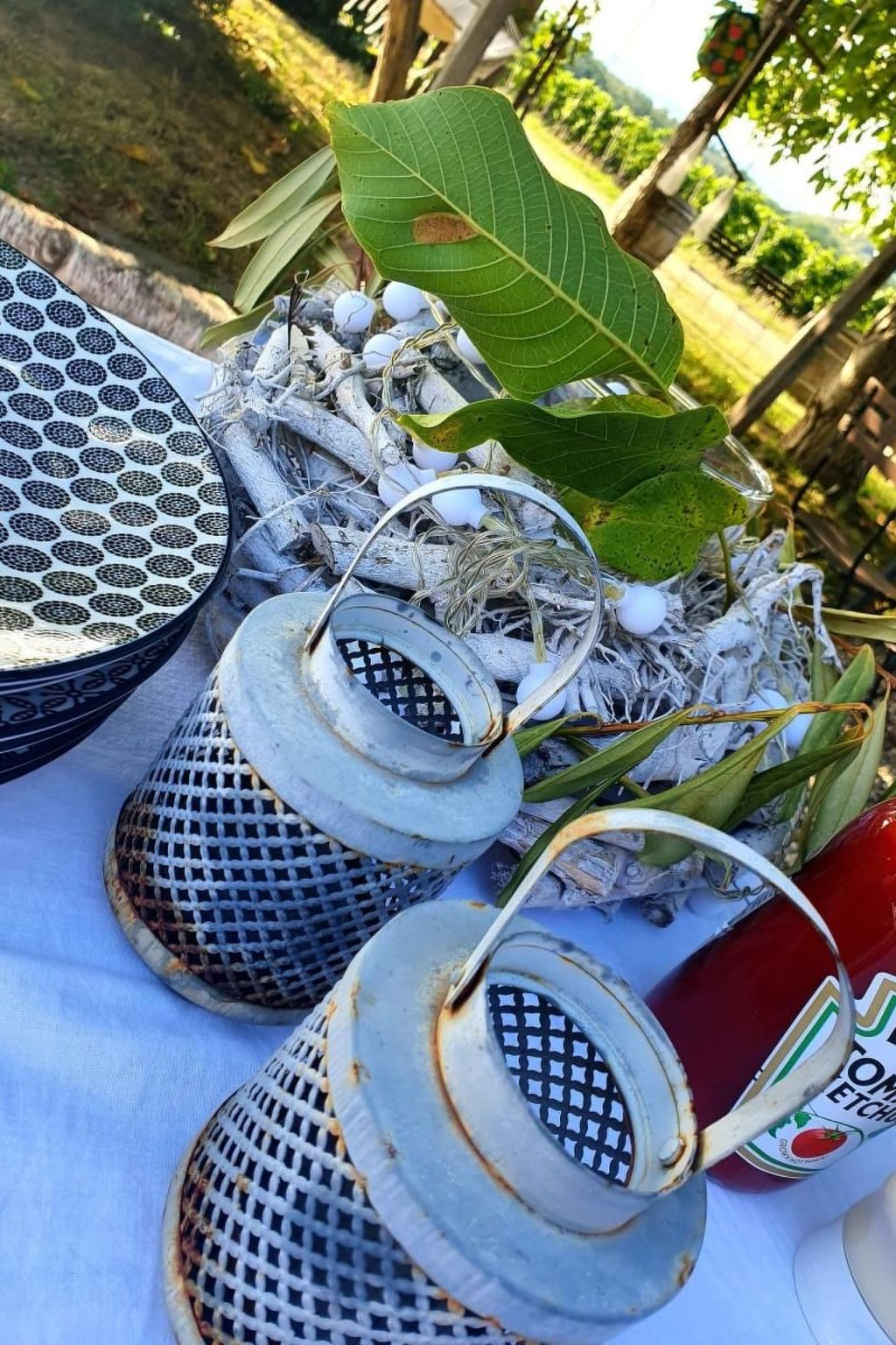 Max Mountain View-Draußen