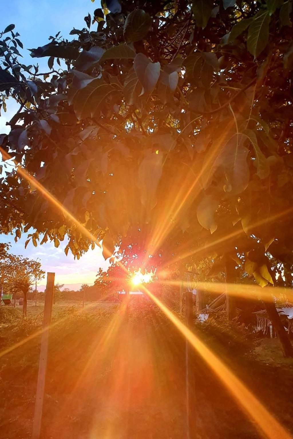 Max Mountain View-Draußen