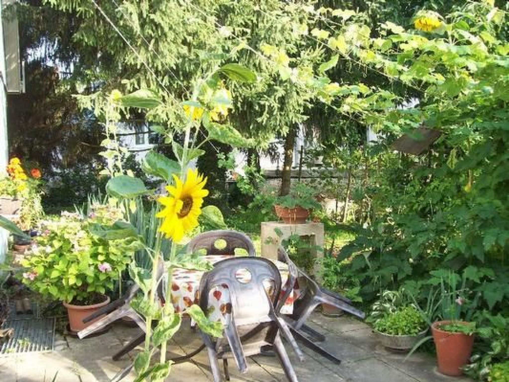 Appartement in Schelingen mit Garten und Grill-Dedans
