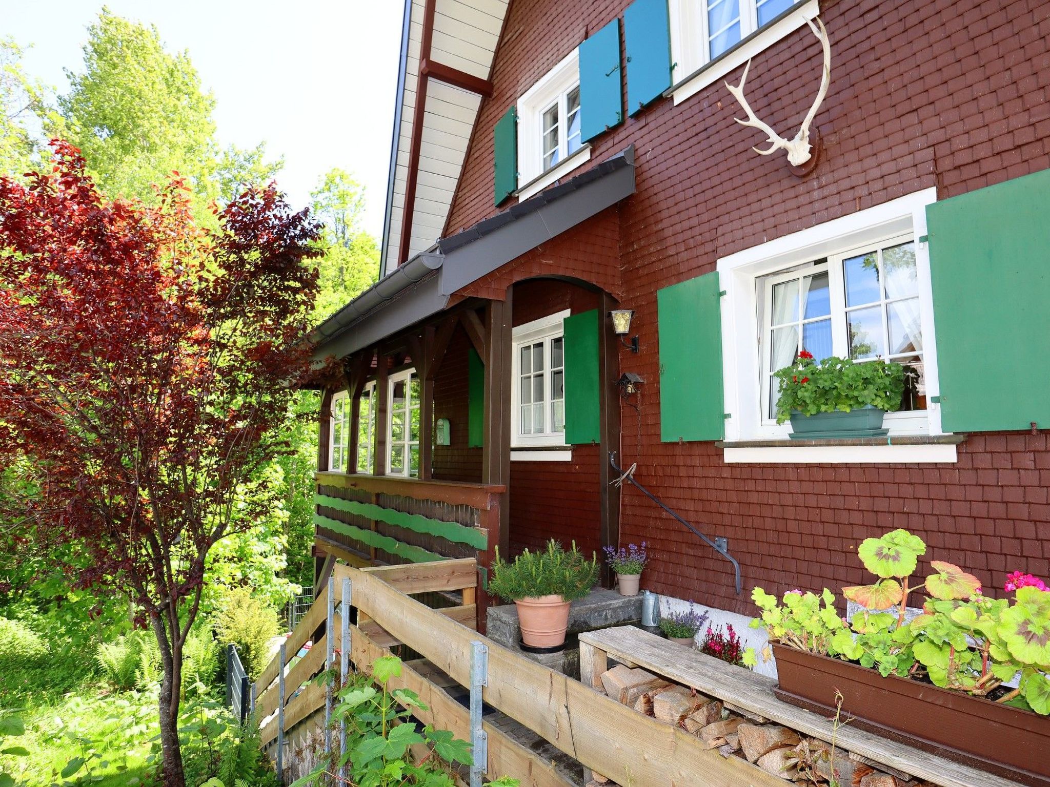 Schwarzwaldhaus St. Blasien, direkt am Bach-Dedans