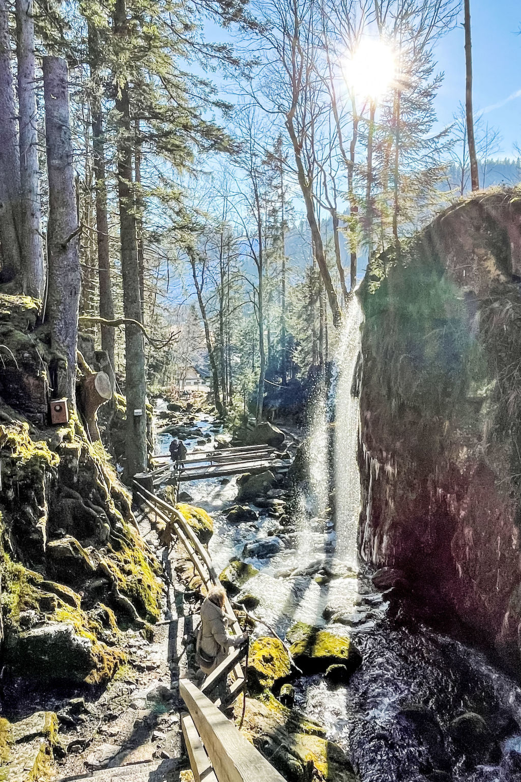 Schwarzwaldhaus St. Blasien, direkt am Bach-Environnement