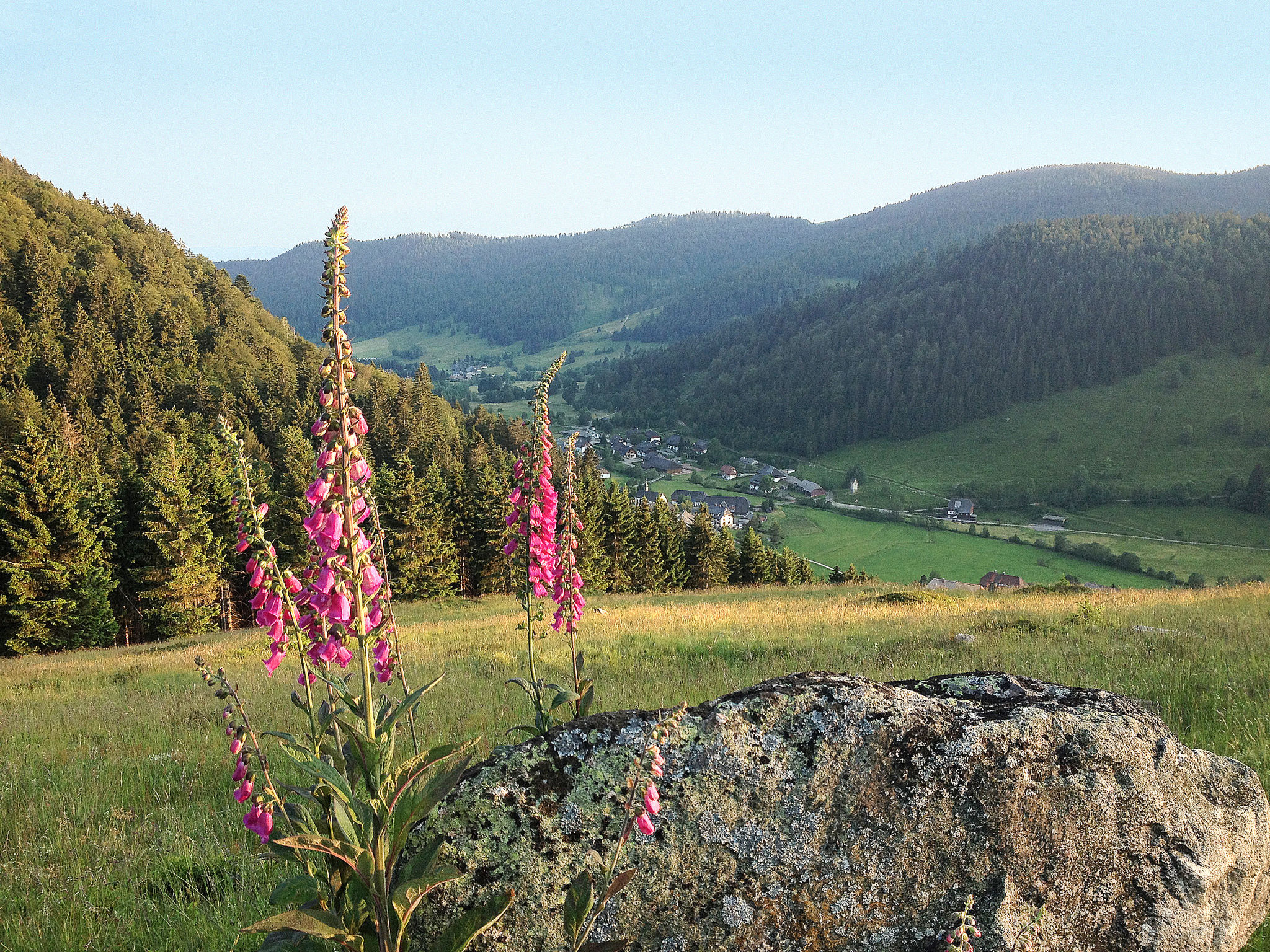 Schwarzwaldhaus St. Blasien, direkt am Bach-Environnement