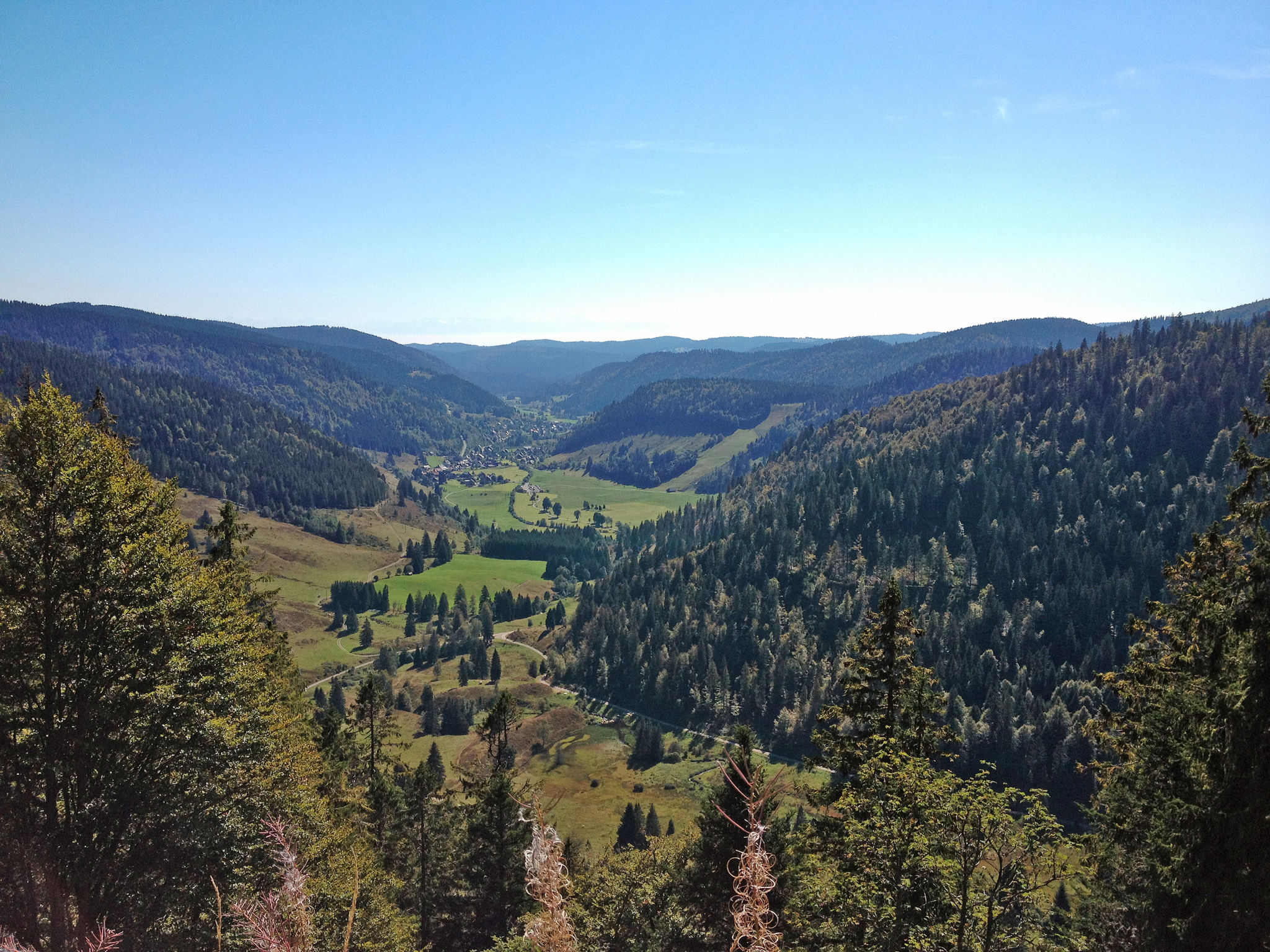 Schwarzwaldhaus St. Blasien, direkt am Bach-Environnement
