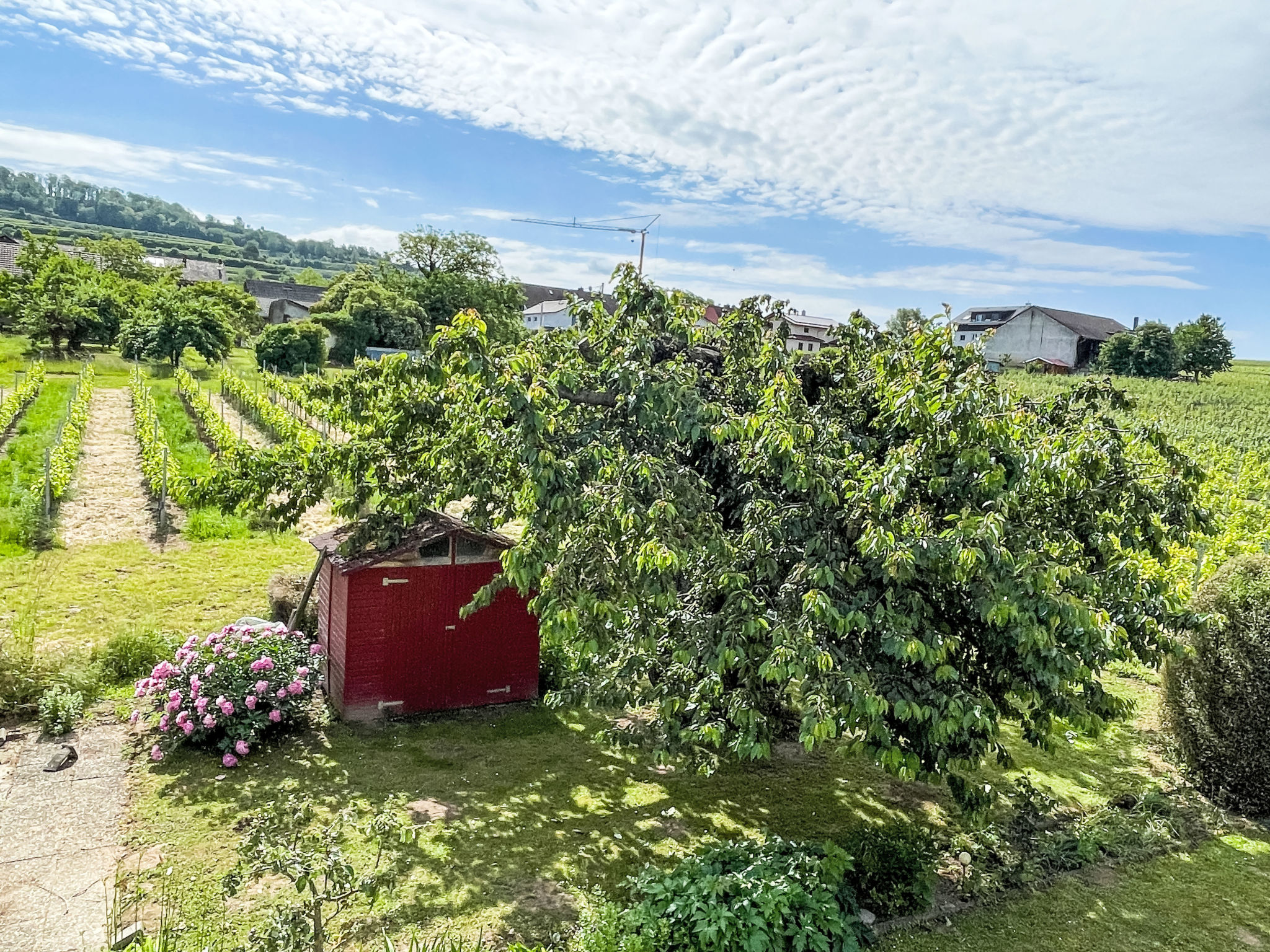 Weinbergblick-Buiten