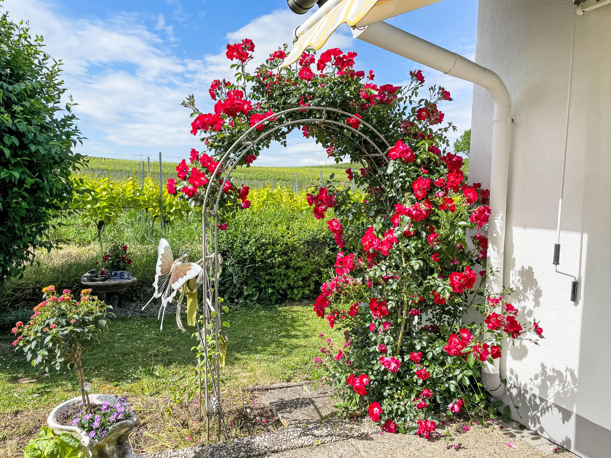 Weinbergblick-Buiten