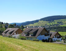 Schwarzwaldblick