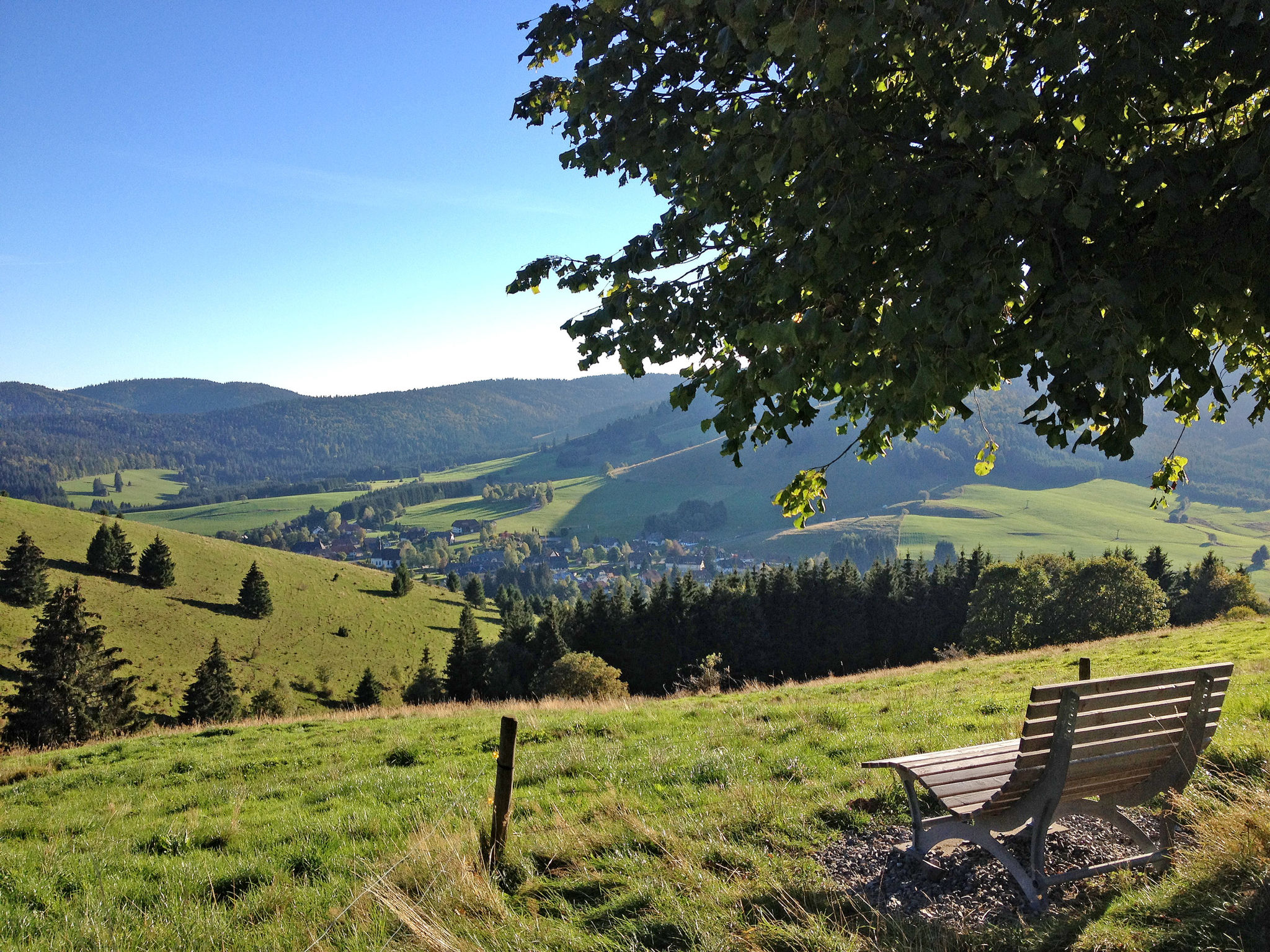 Schwarzwaldblick VI-Omgeving