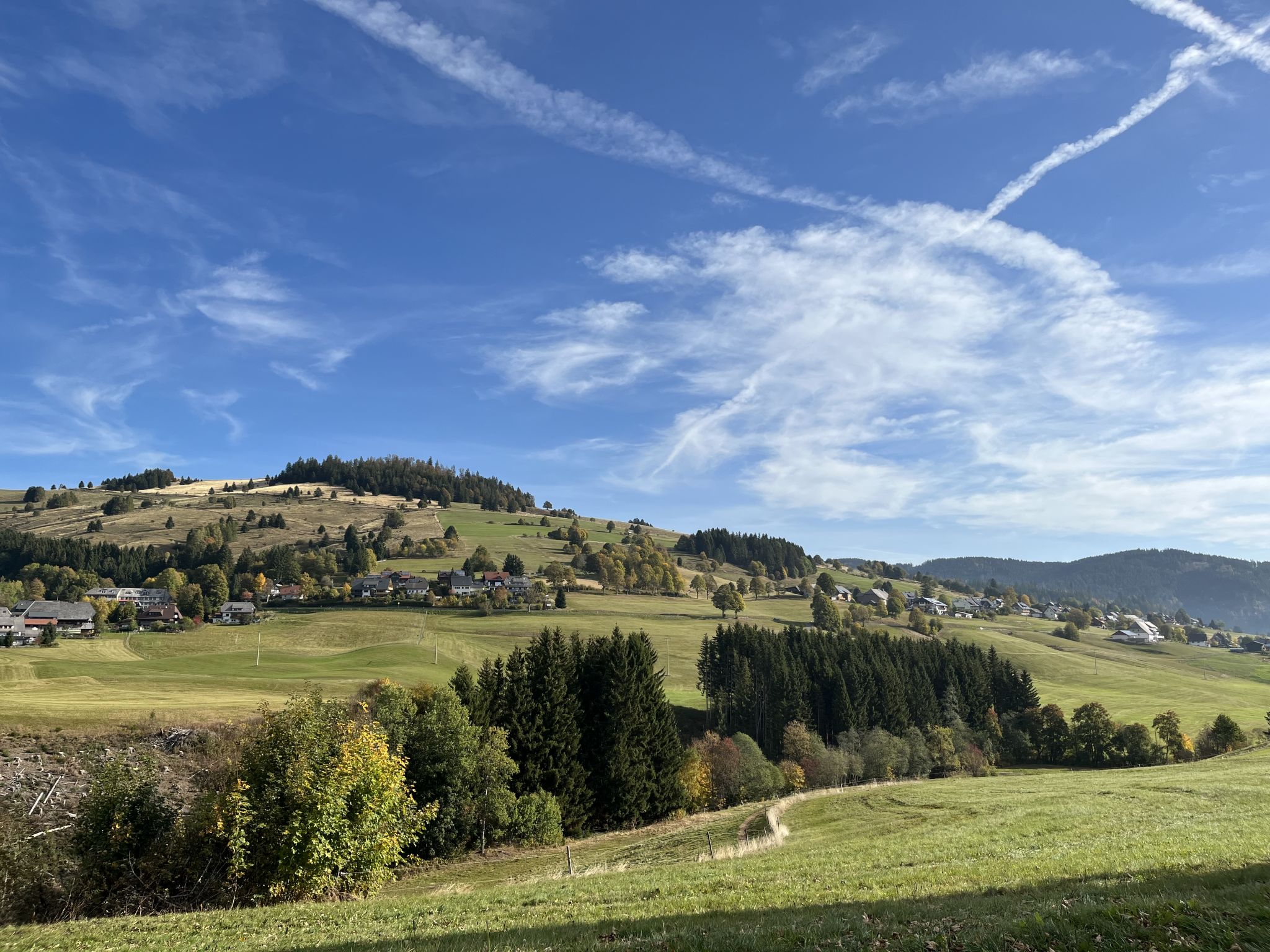 Schwarzwaldblick VI-Omgeving