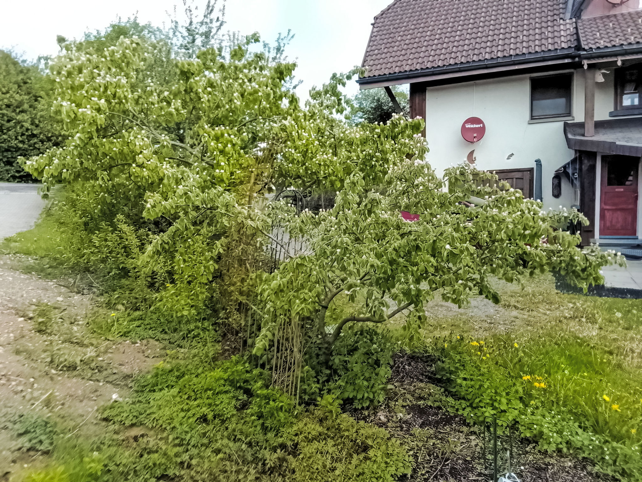 Wannenhof Romantik