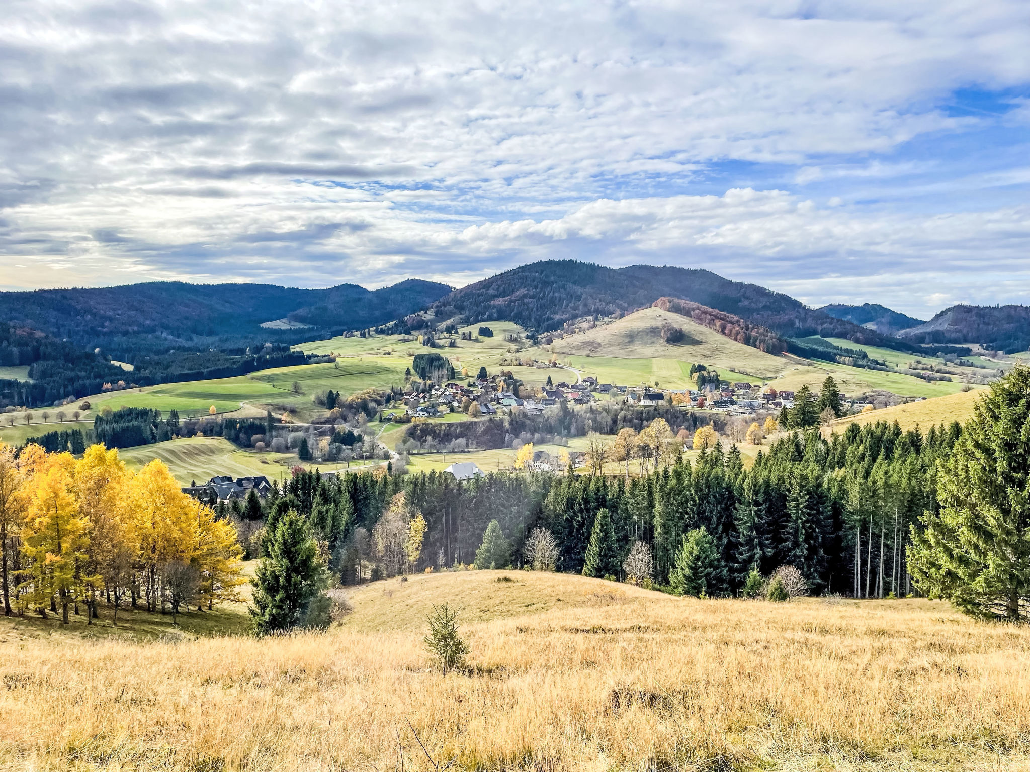 Wannenhof historisch-Area