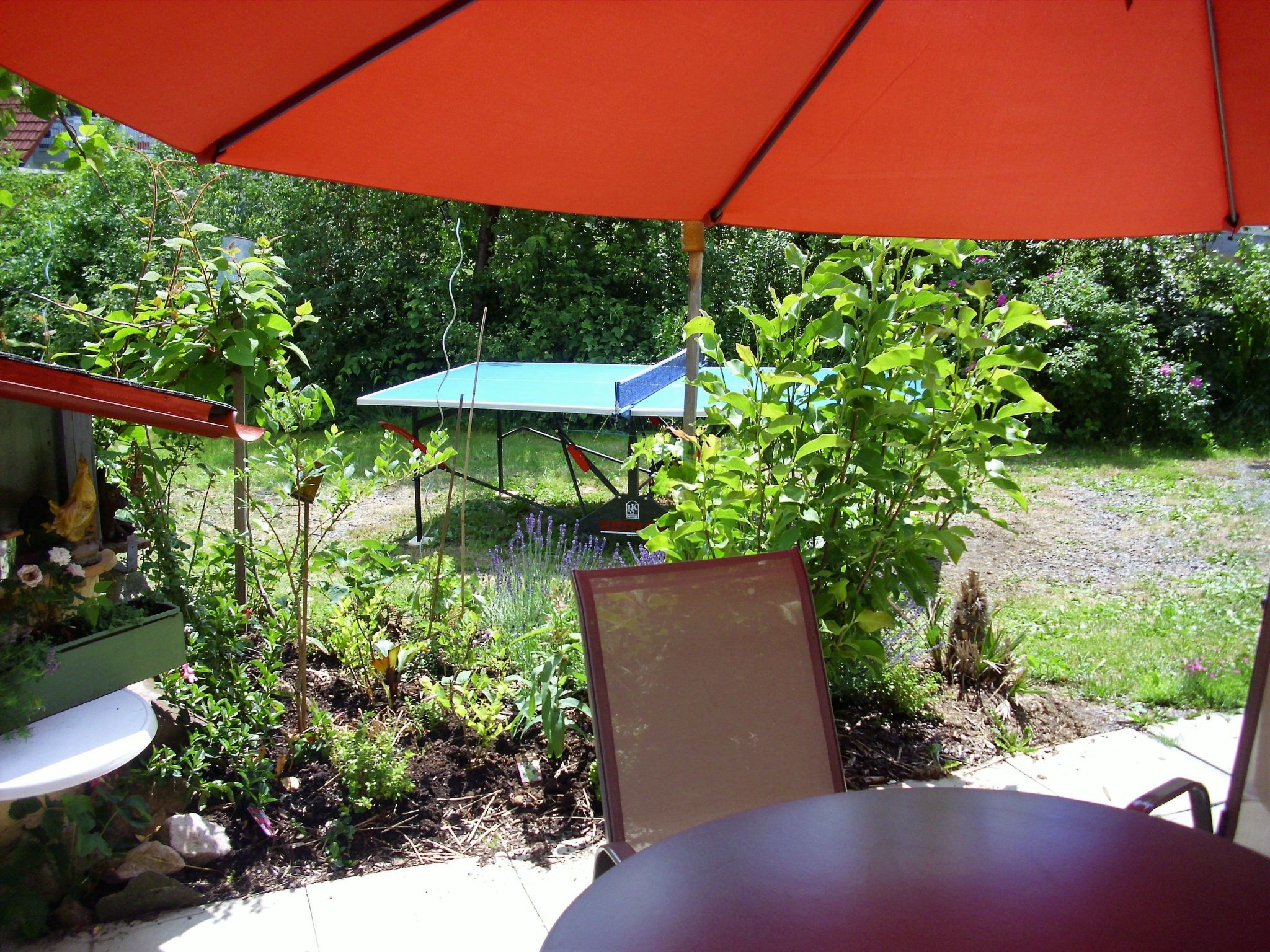 Wannenhof großzügig-Dedans