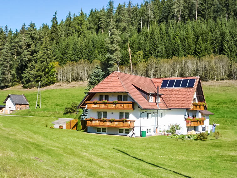 6-persoons appartement in Eisenbach op 1 km van de piste in Eisenbach
