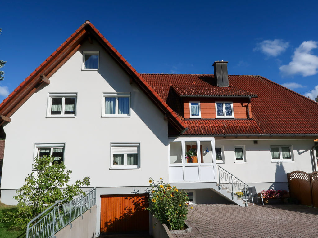 Bild 19