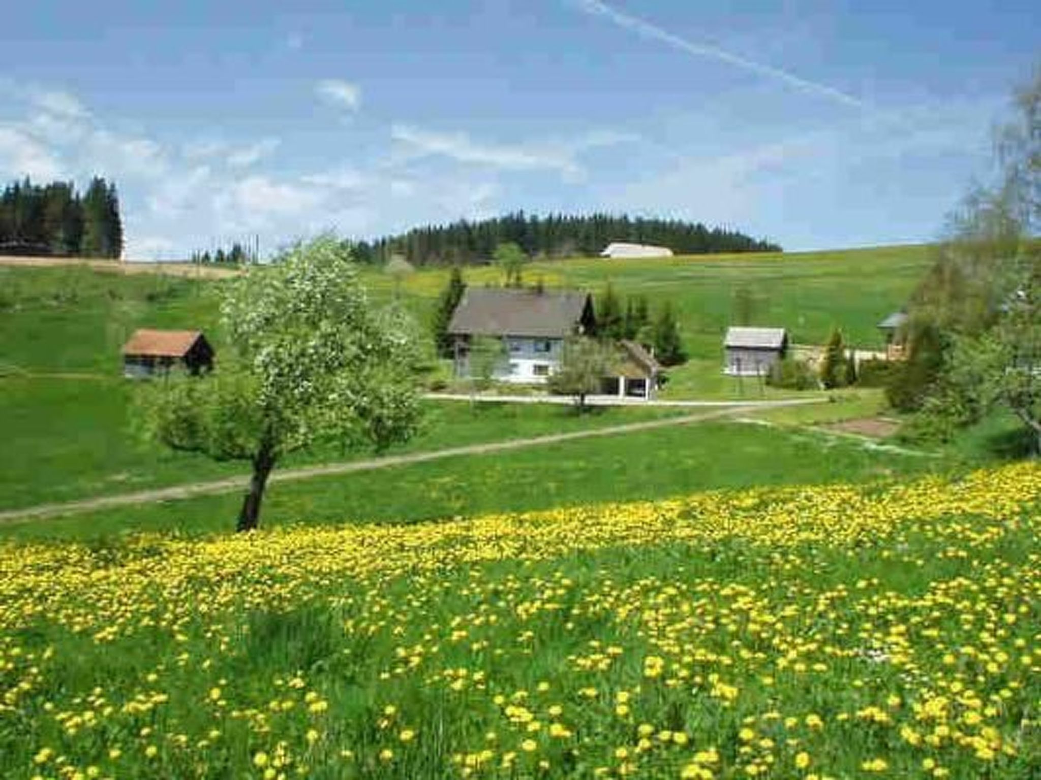 Appartement mit Garten in Schwärzenbach-Inside