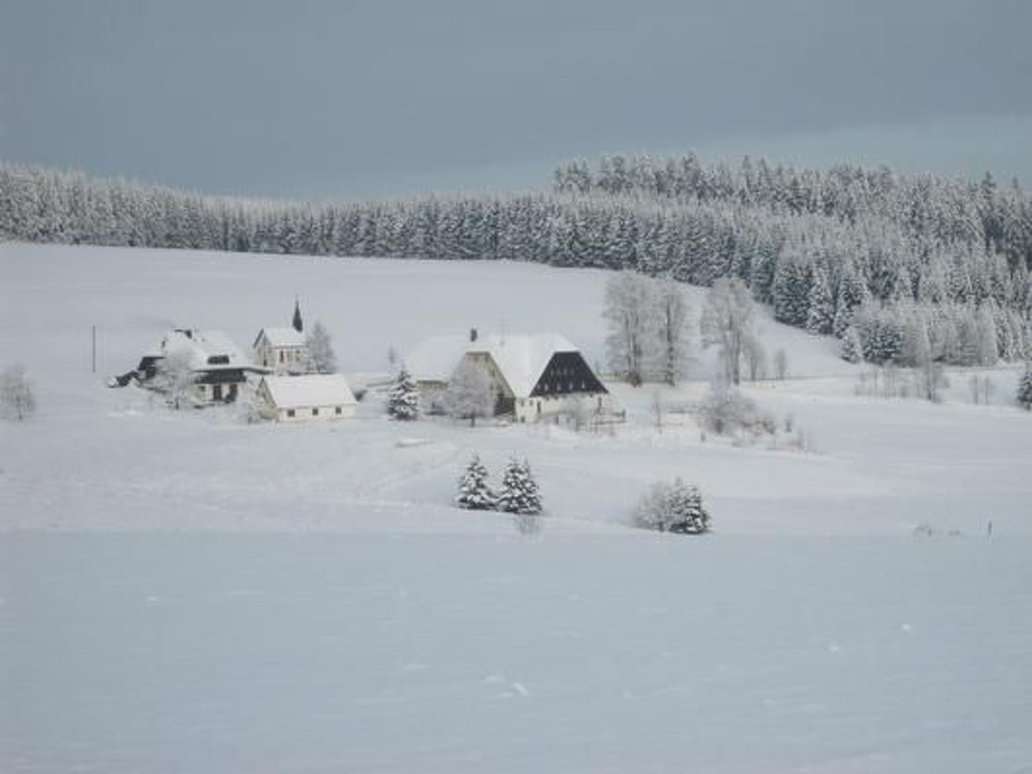 Appartement mit Garten in Schwärzenbach-Inside