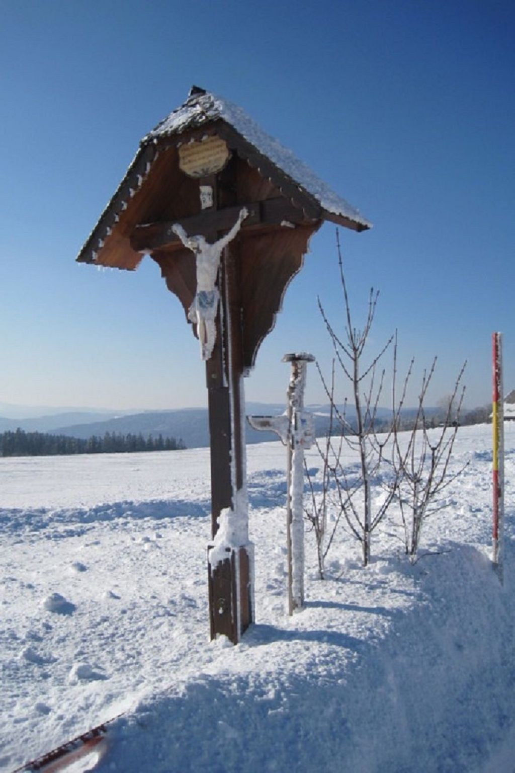 Appartement mit Garten in Schwärzenbach-Inside
