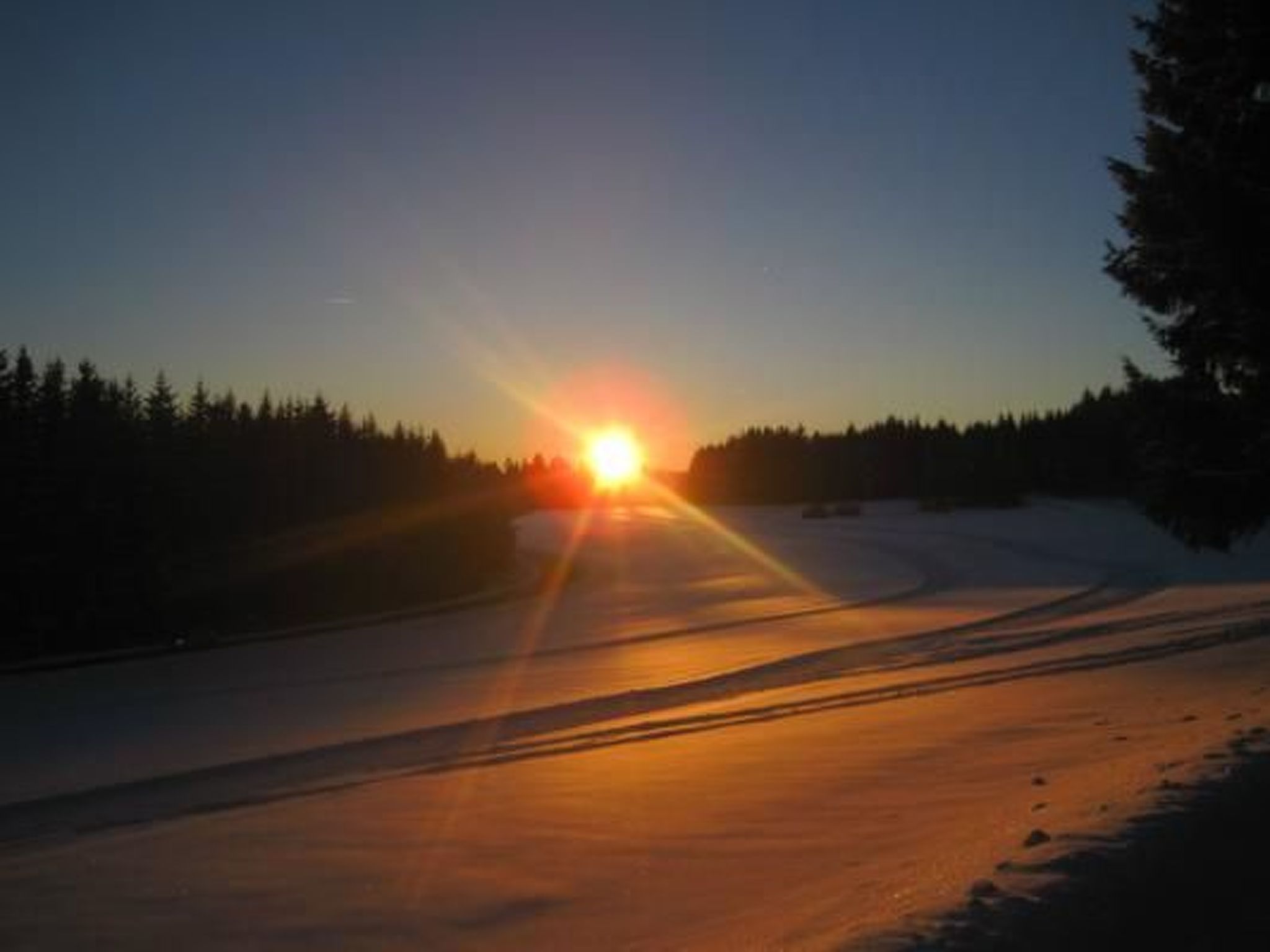 Appartement mit Garten in Schwärzenbach-Inside