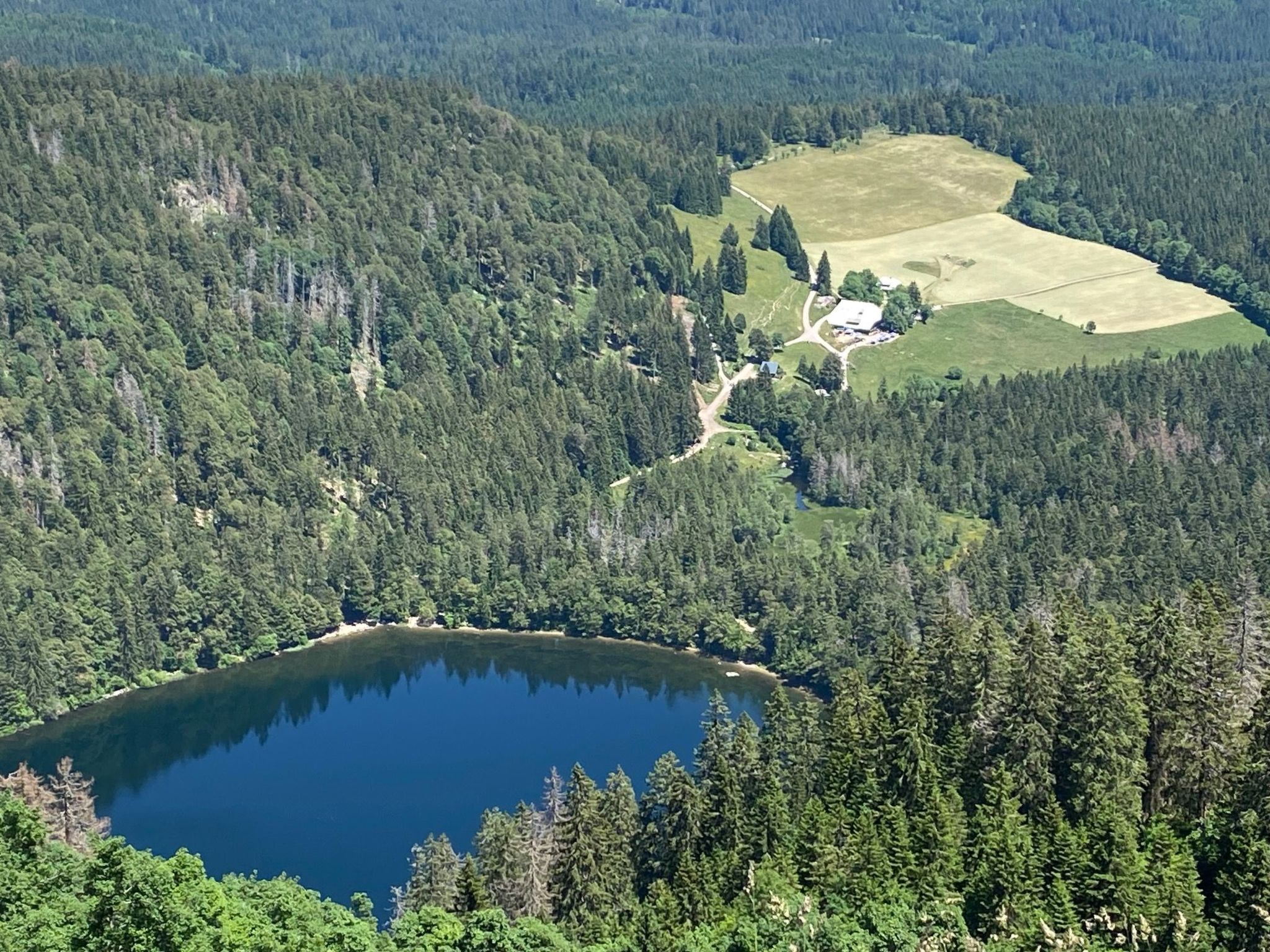 Appartement mit Garten in Schwärzenbach