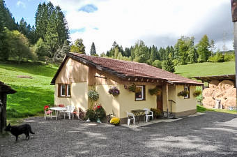 Dog Friendly Vacation Rentals In Black Forest Interhome