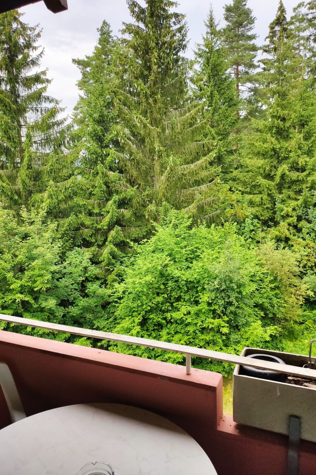 Romantik Ferienwohnung Bollenhut Superior-Image-tags.info