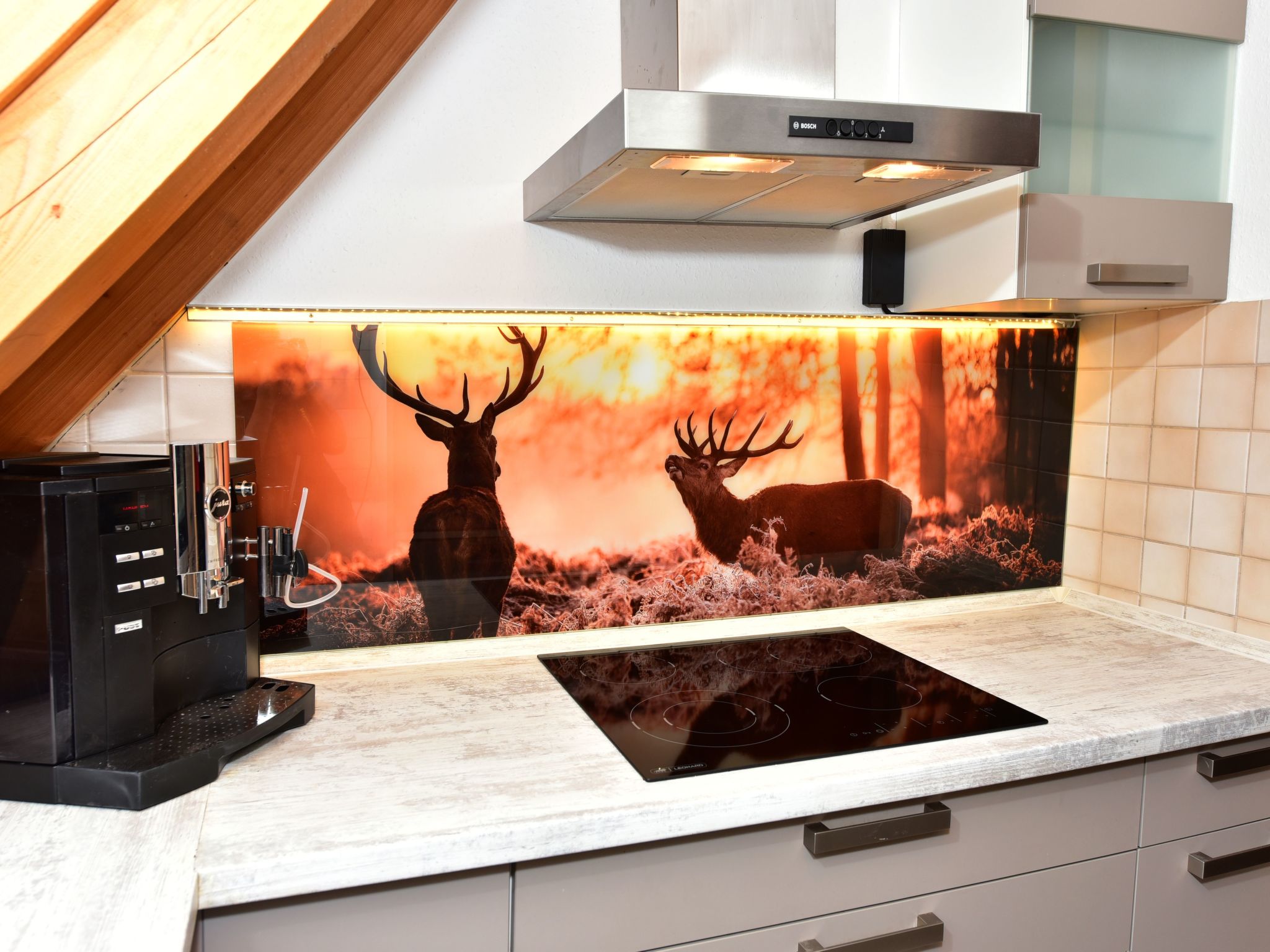 Apartment Black Forest Bollenhut Deluxe-Image-tags.info