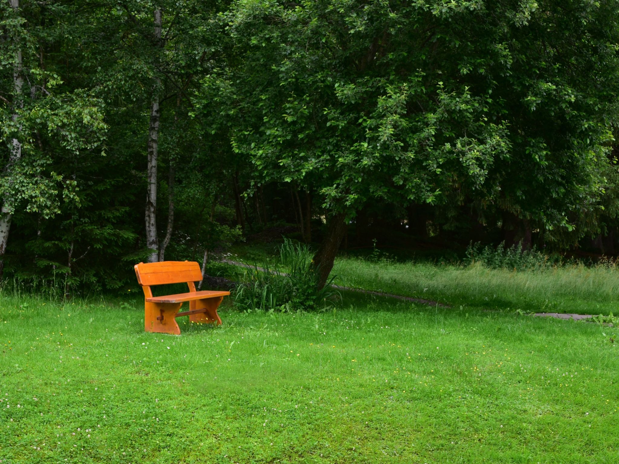 Appartement in Saig mit Garten und Grill-Binnen
