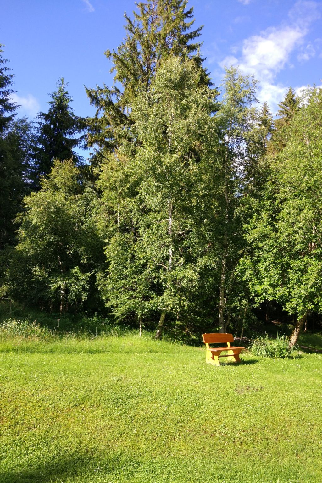 Appartement in Saig mit Garten und Grill-Binnen